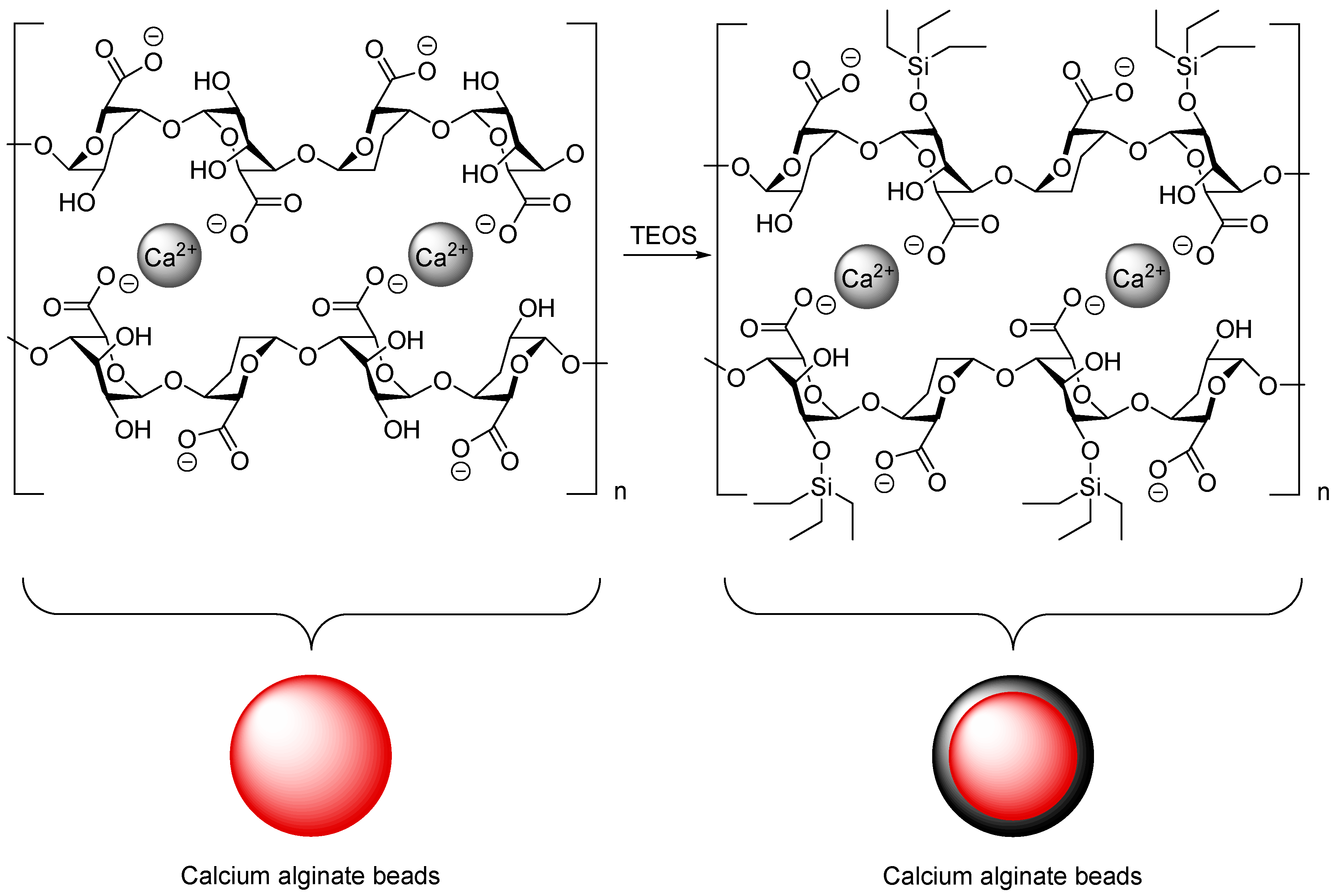 Catalysts 10 01073 sch004