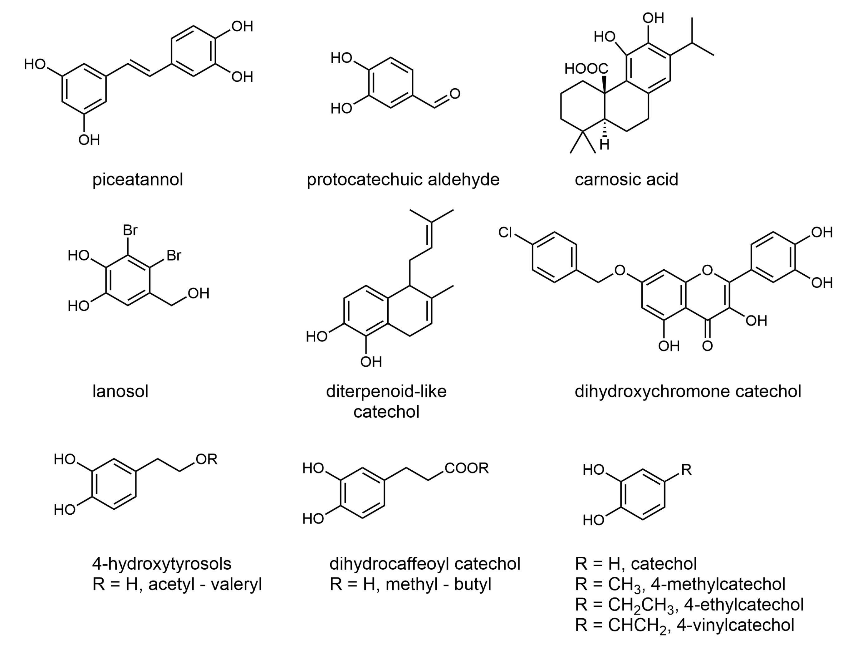 Catalysts 10 01077 sch001 Catalysts 10 01077 sch001