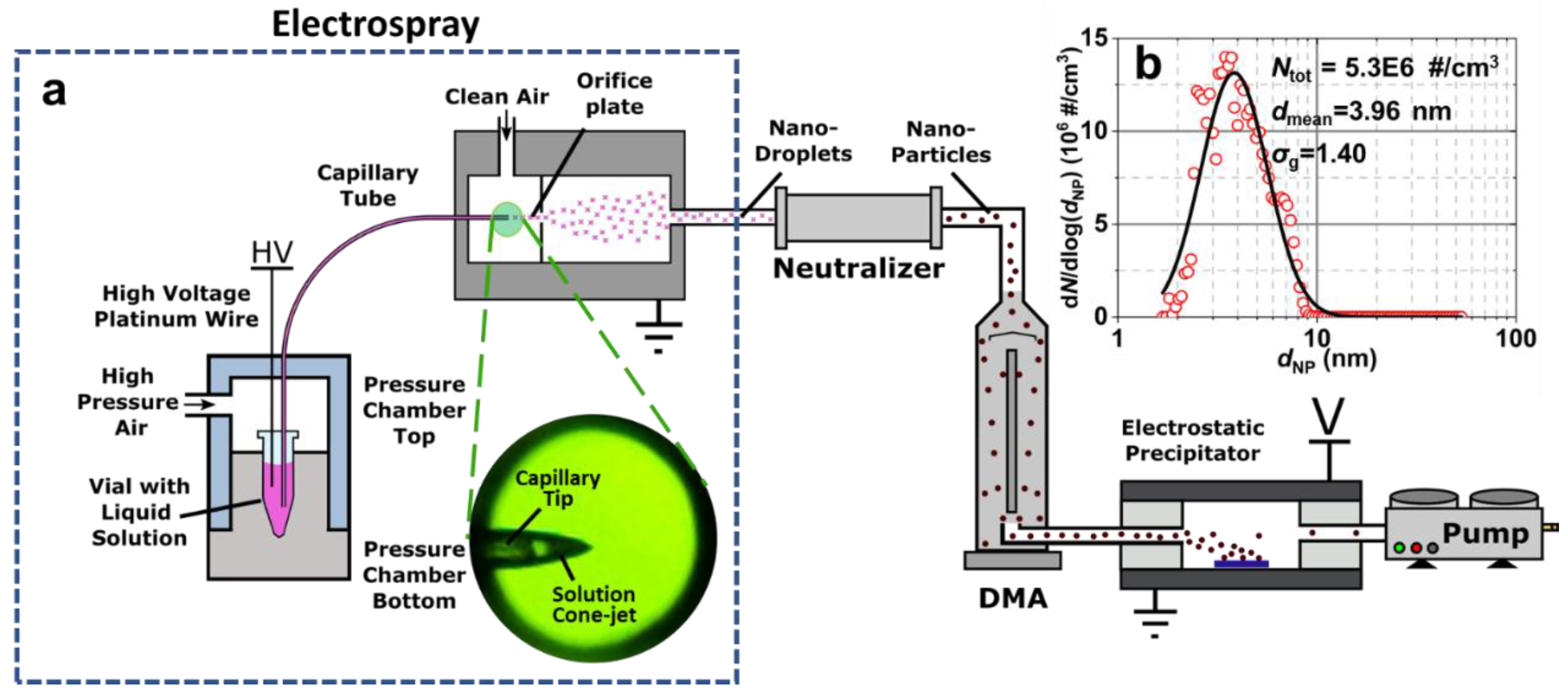 Catalysts 10 01087 g001