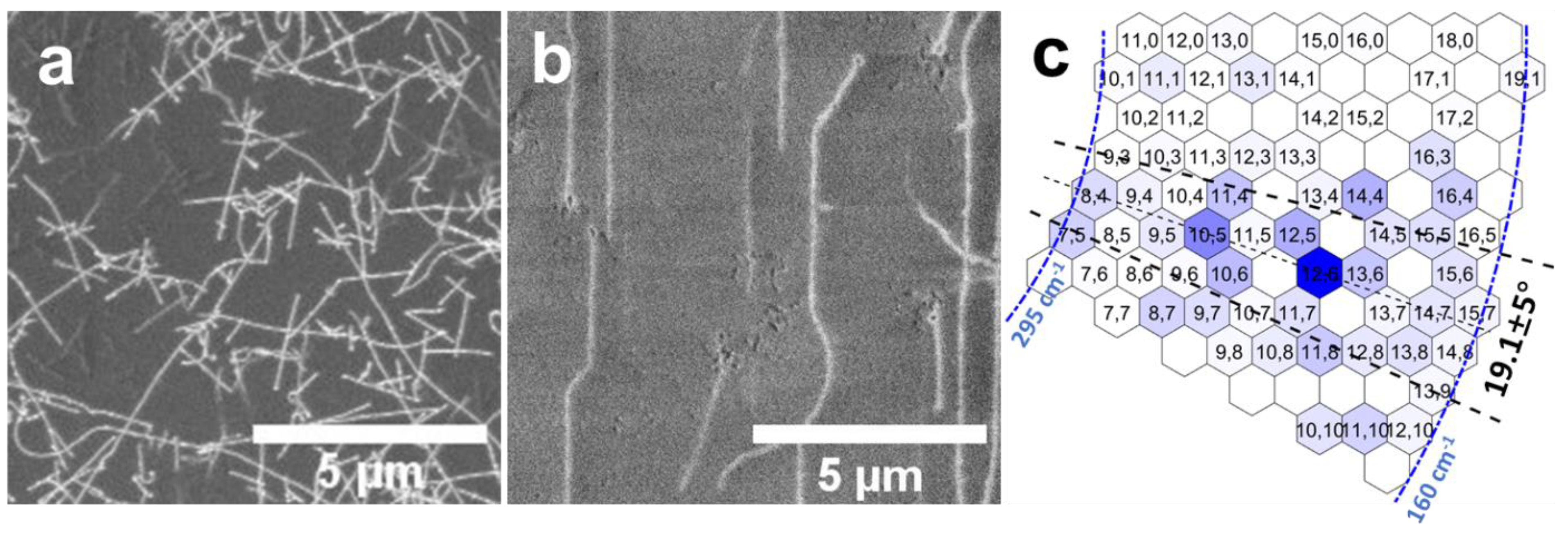 Catalysts 10 01087 g003