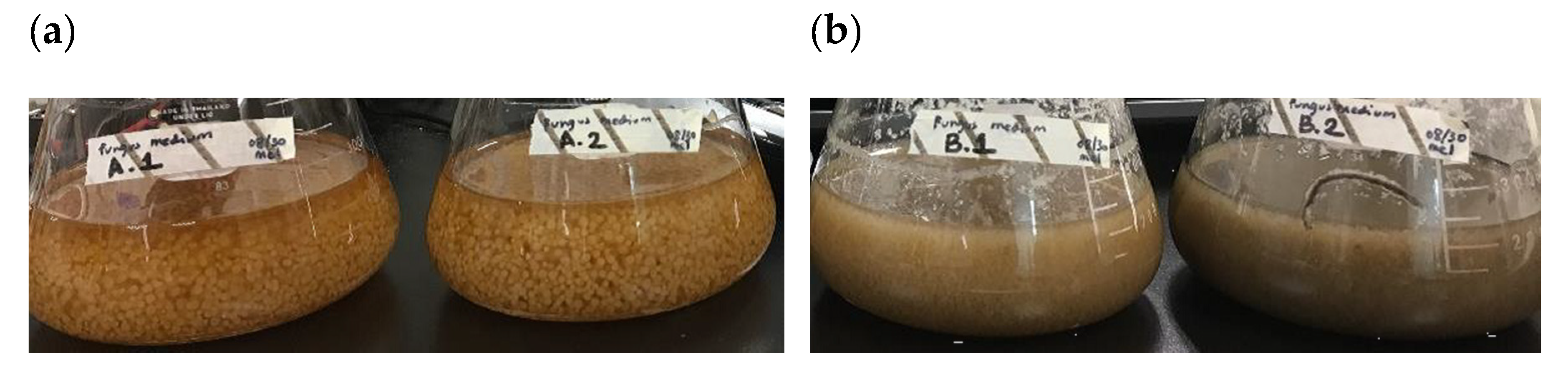 Catalysts 10 01090 g006 Catalysts 10 01090 g006