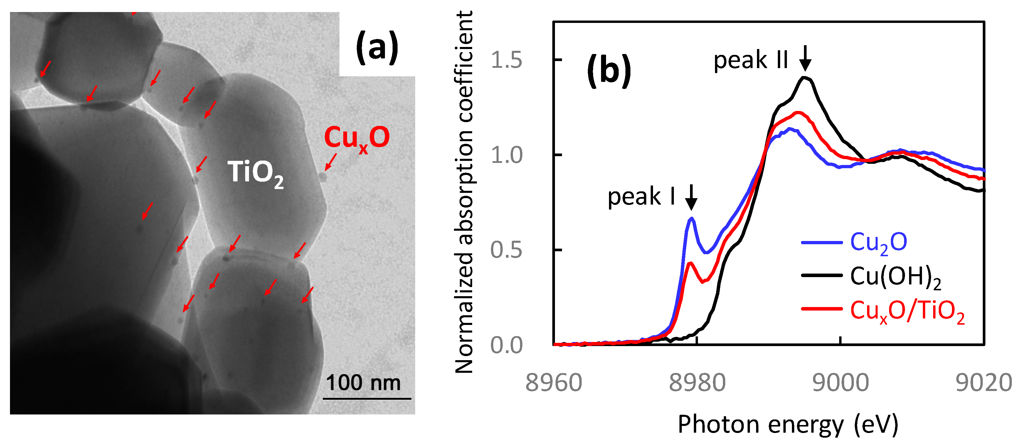 Catalysts 10 01093 g010