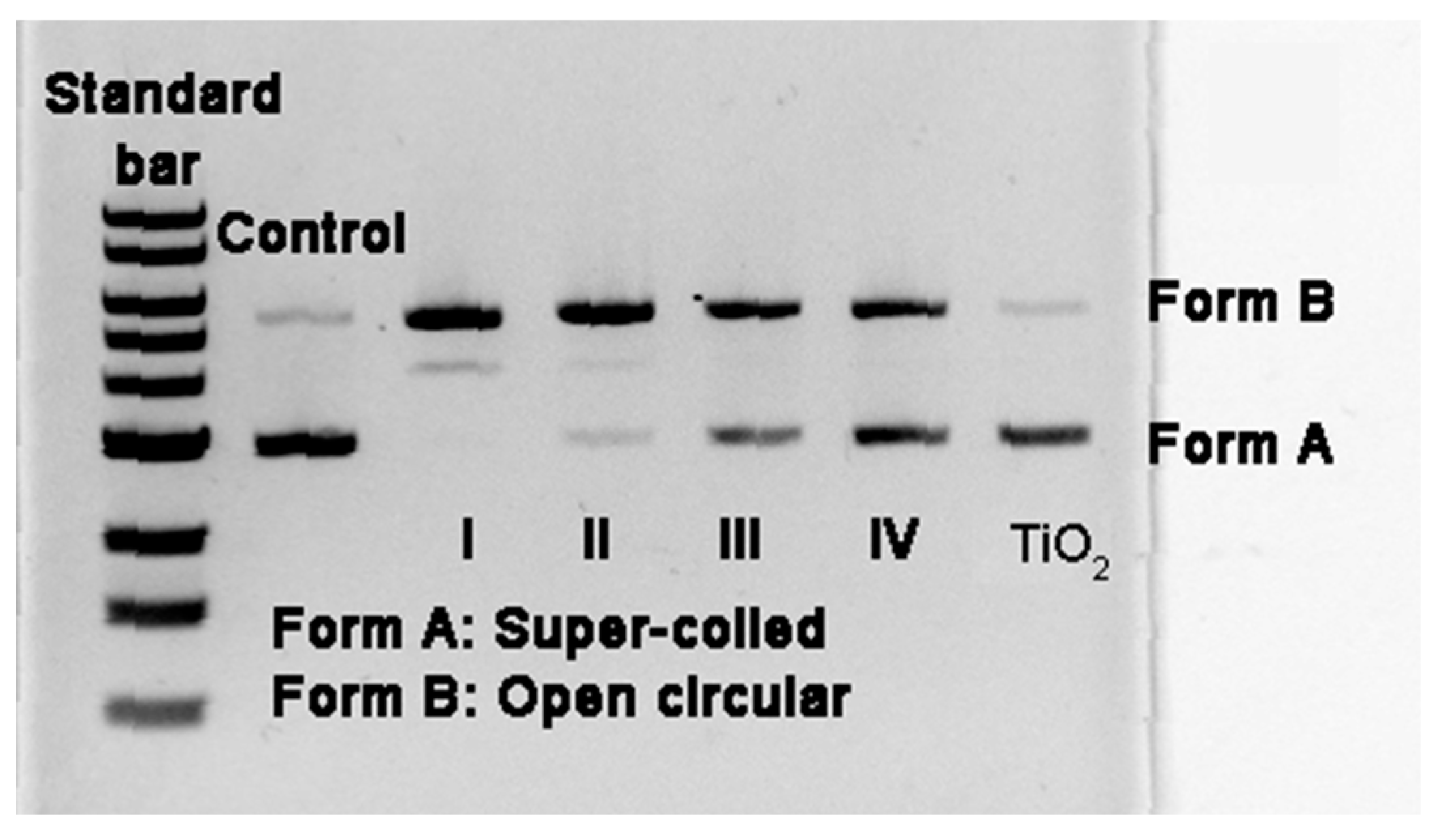 Catalysts 10 01093 g013