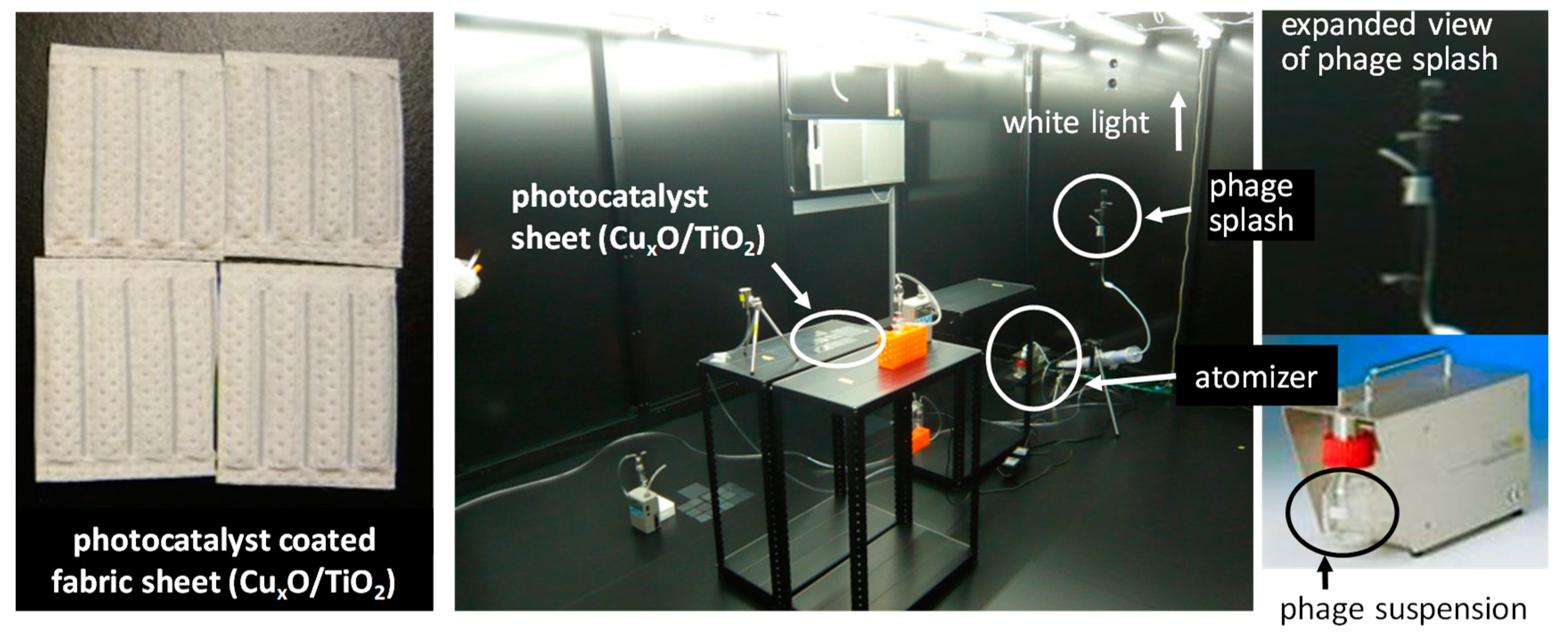 Catalysts 10 01093 g016