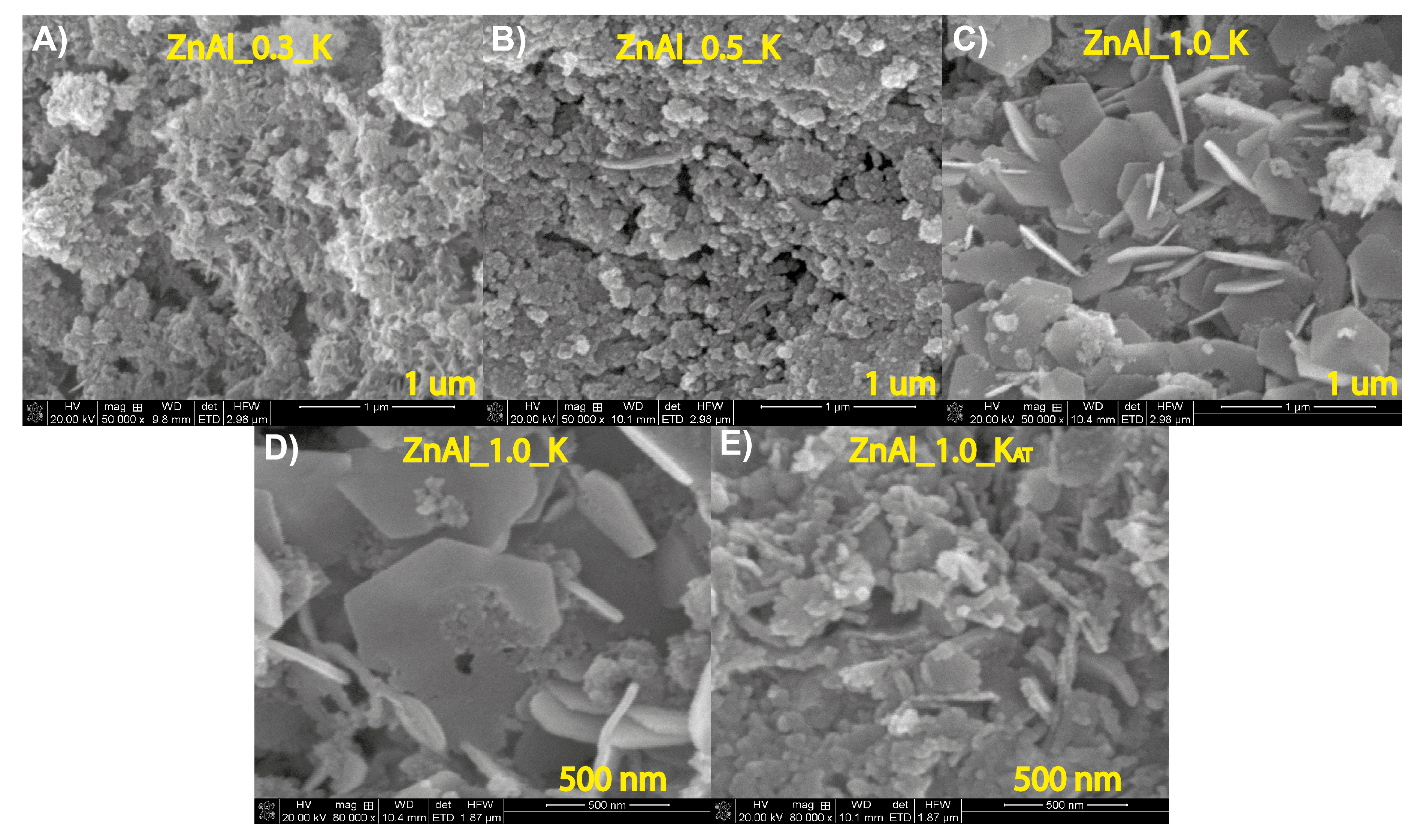 Catalysts 10 01094 g006
