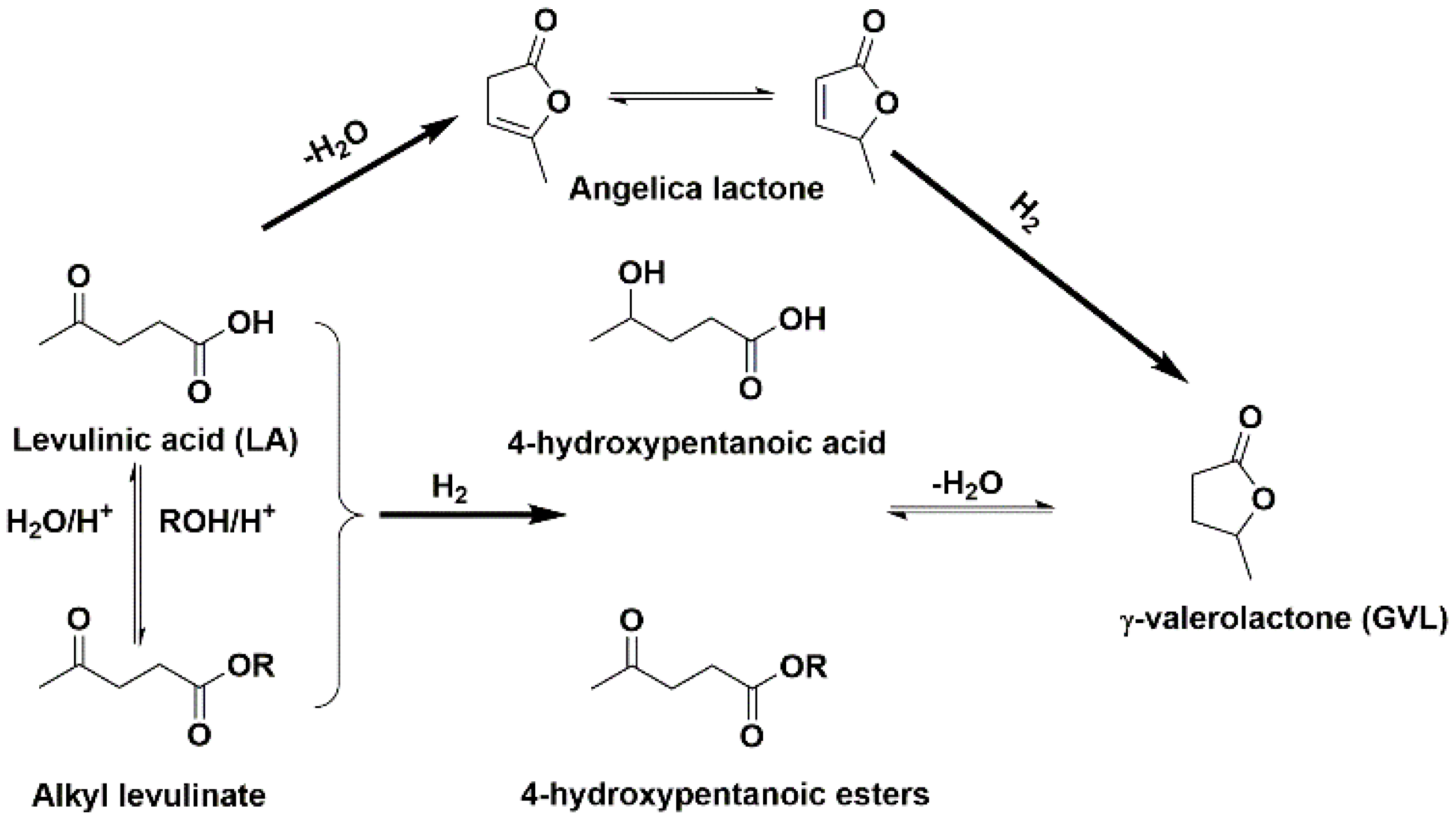 Catalysts 10 01096 sch001 Catalysts 10 01096 sch001