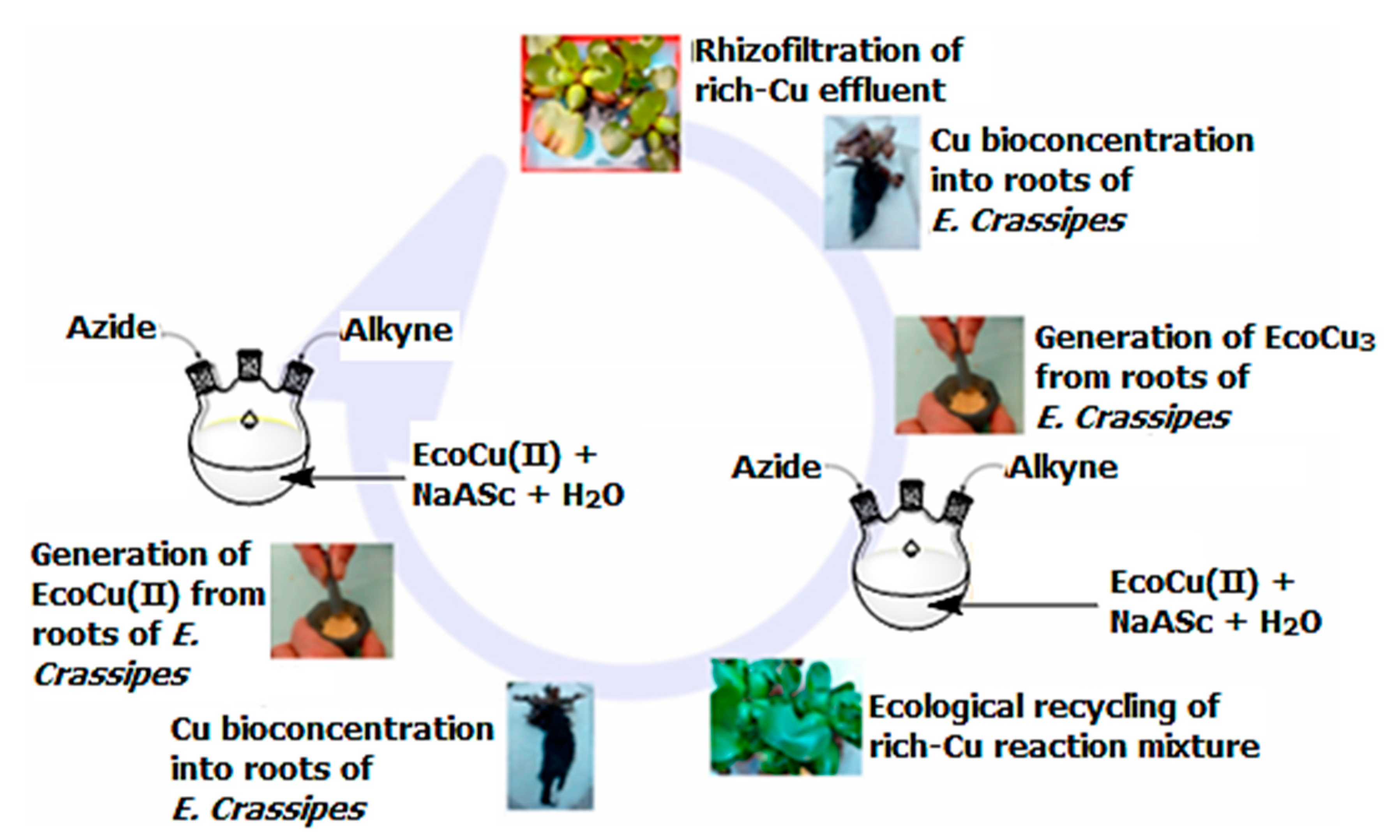 Catalysts 10 01103 g003