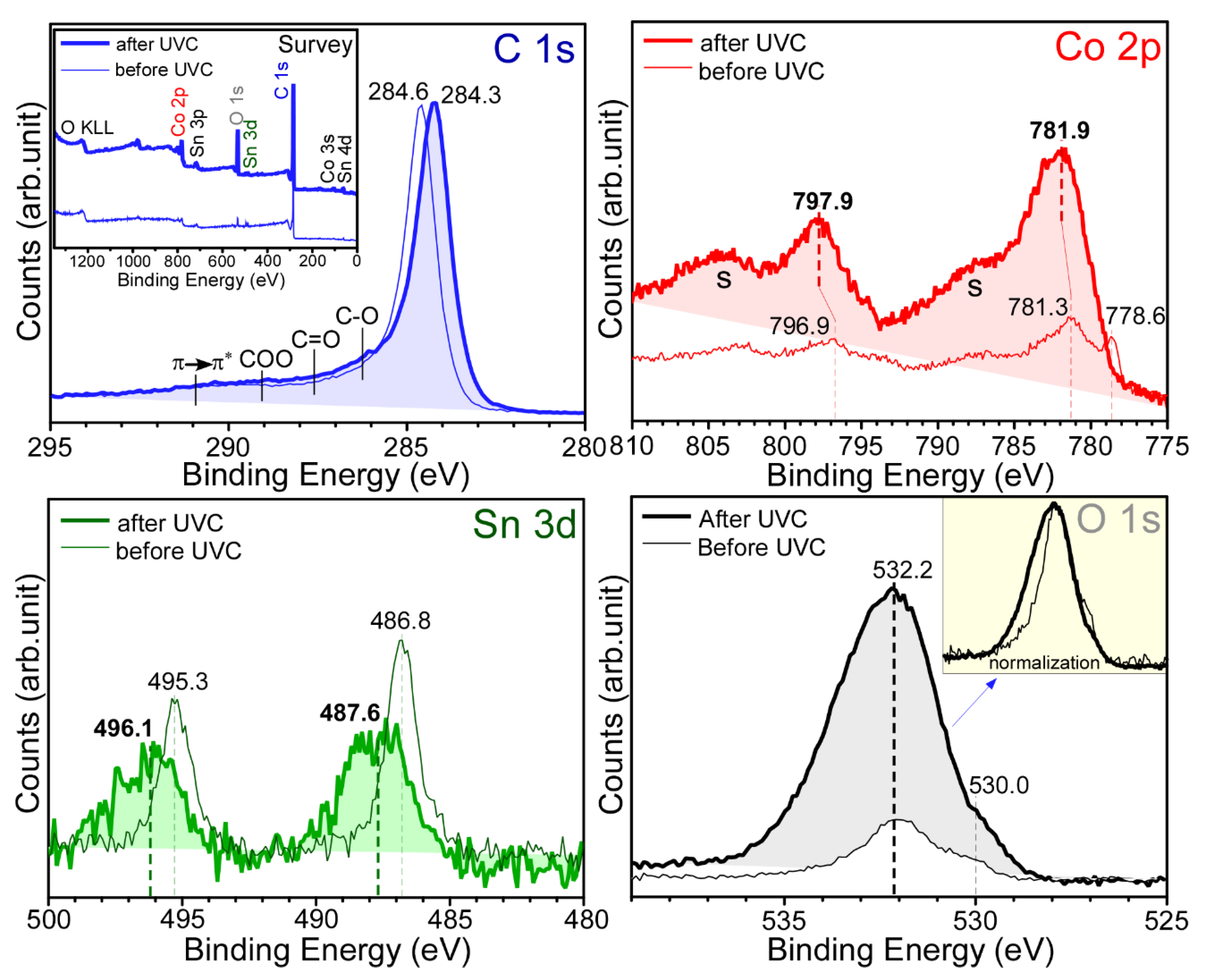 Catalysts 10 01116 g003