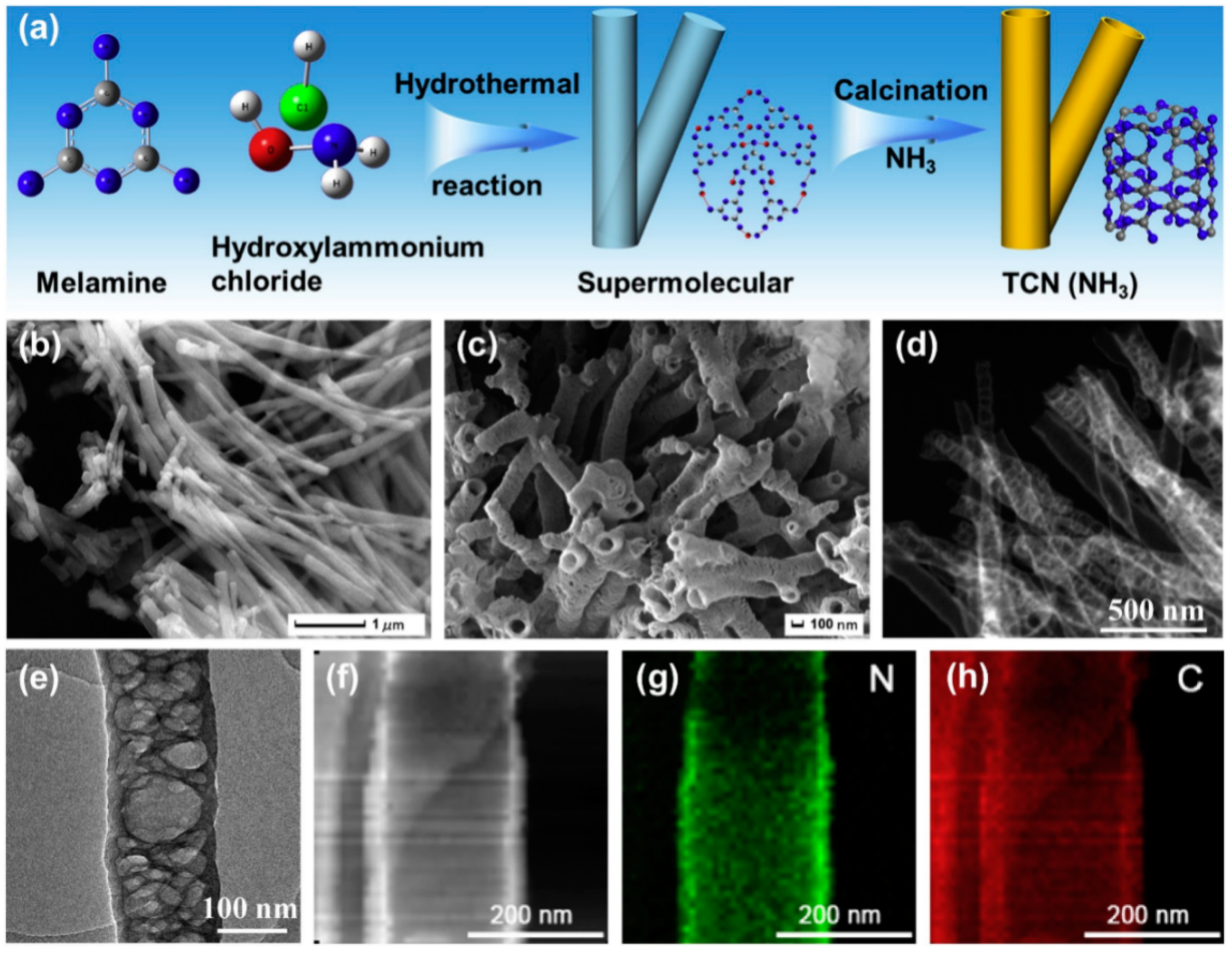 Catalysts 10 01119 g003