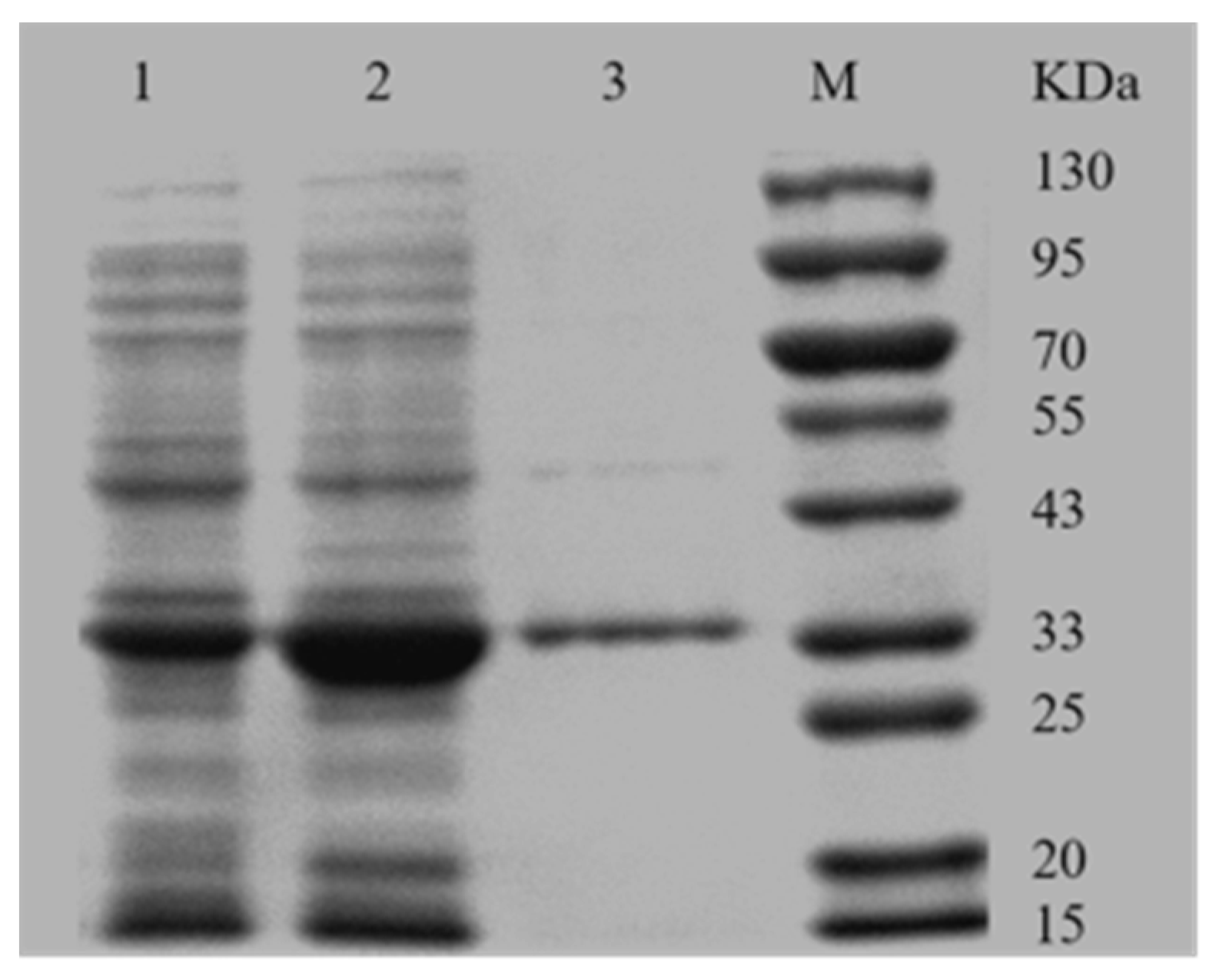 Catalysts 10 01121 g002