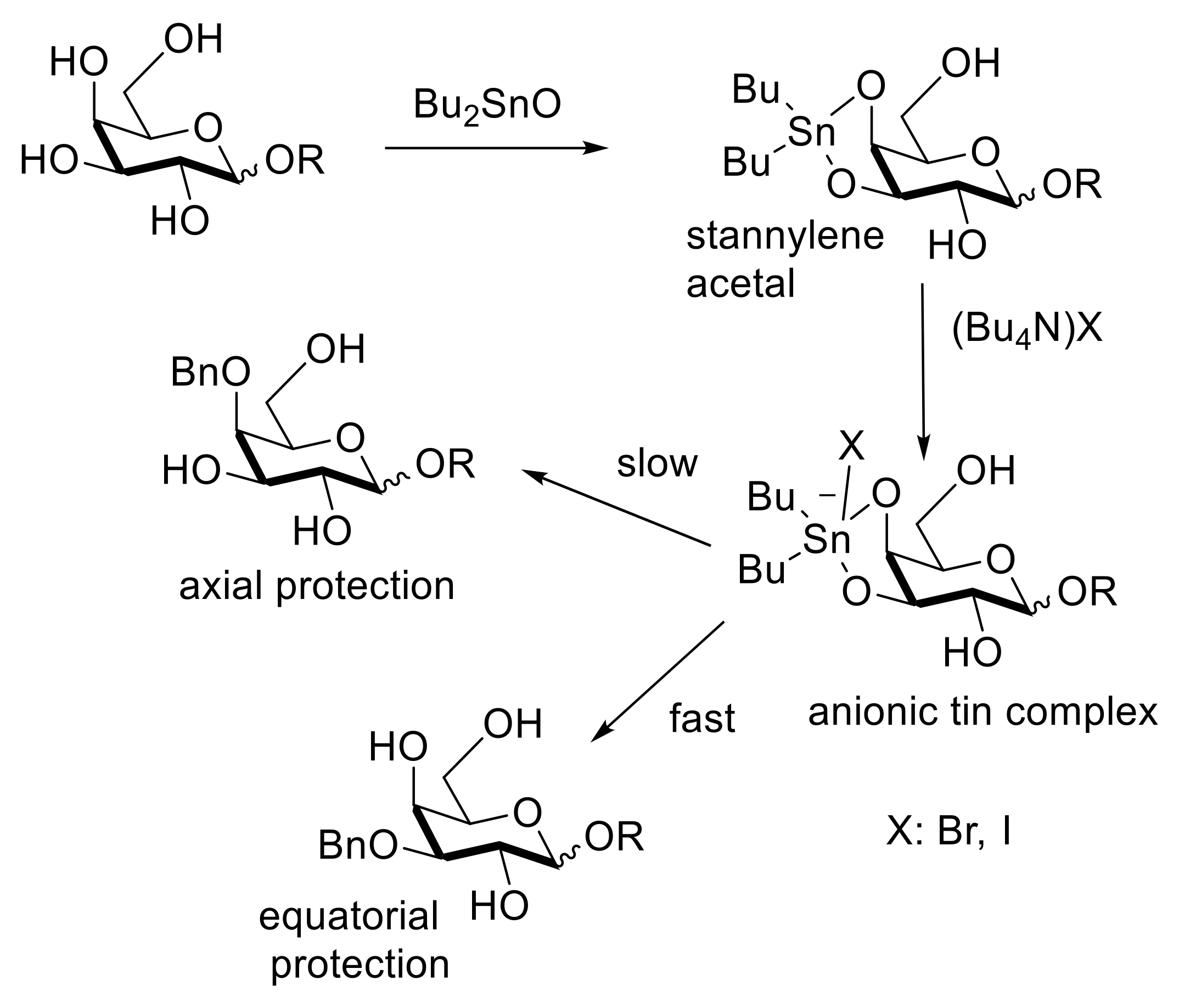 Catalysts 10 01142 sch006
