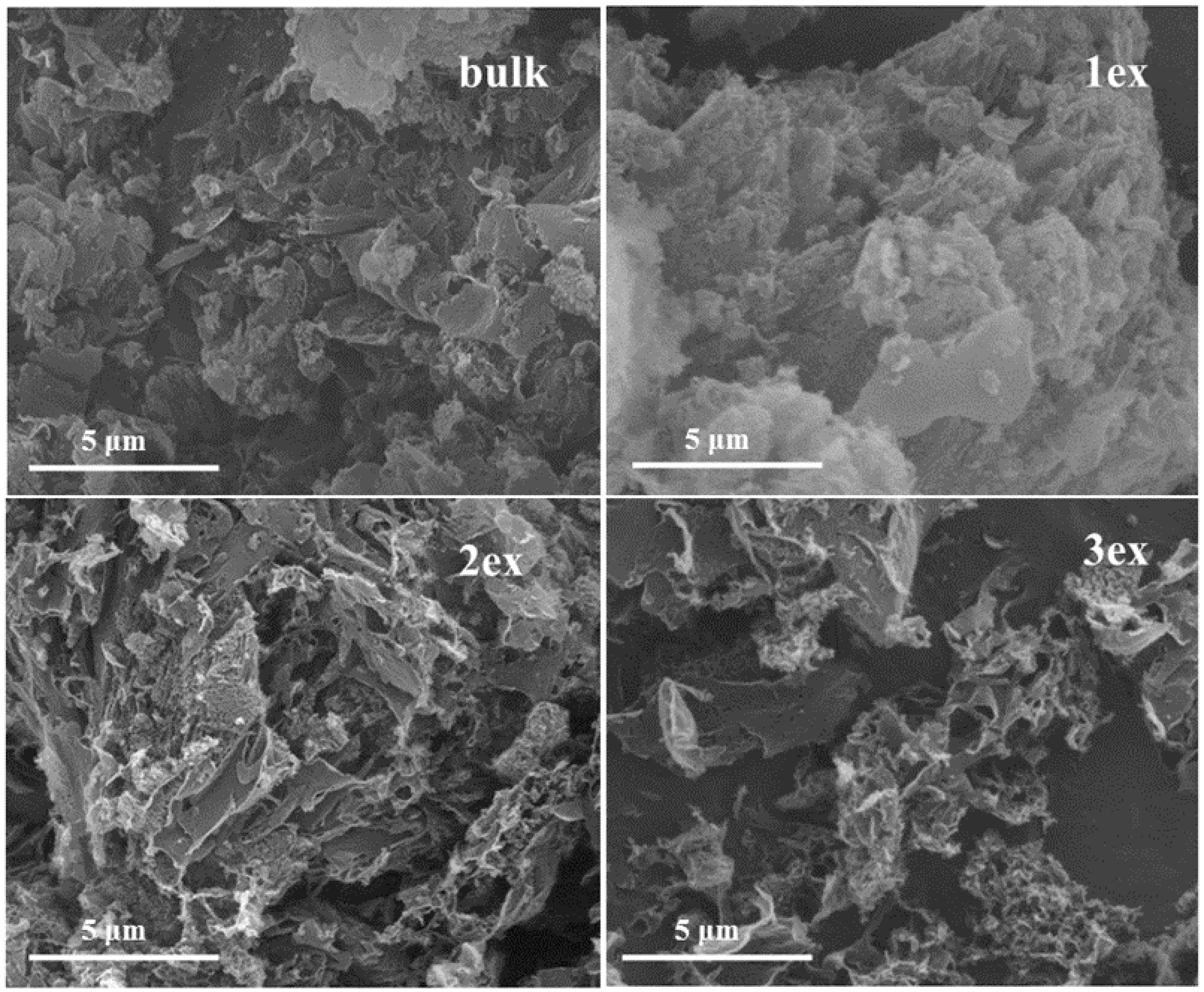 Catalysts 10 01147 g002