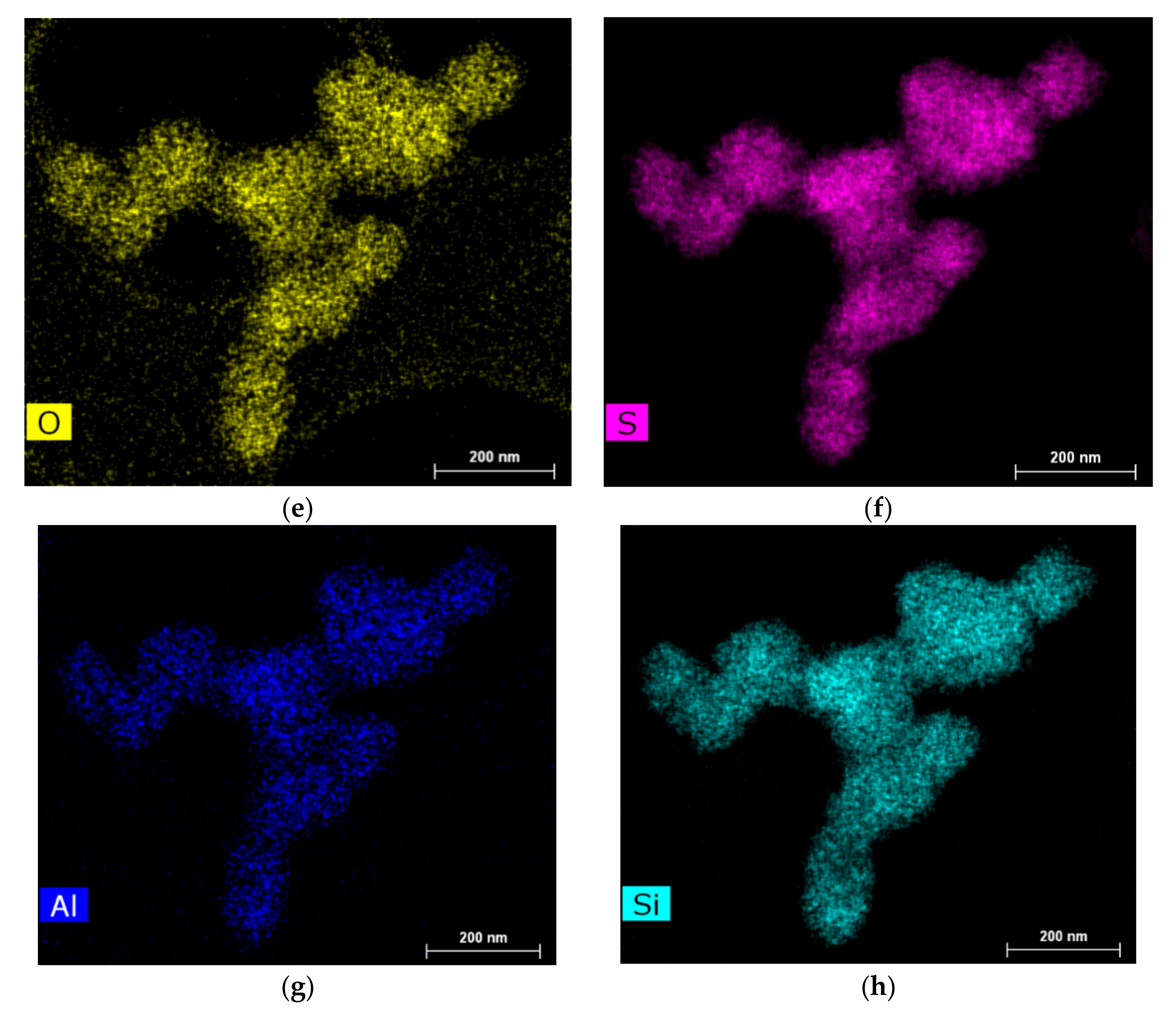 Catalysts 10 01152 g006b