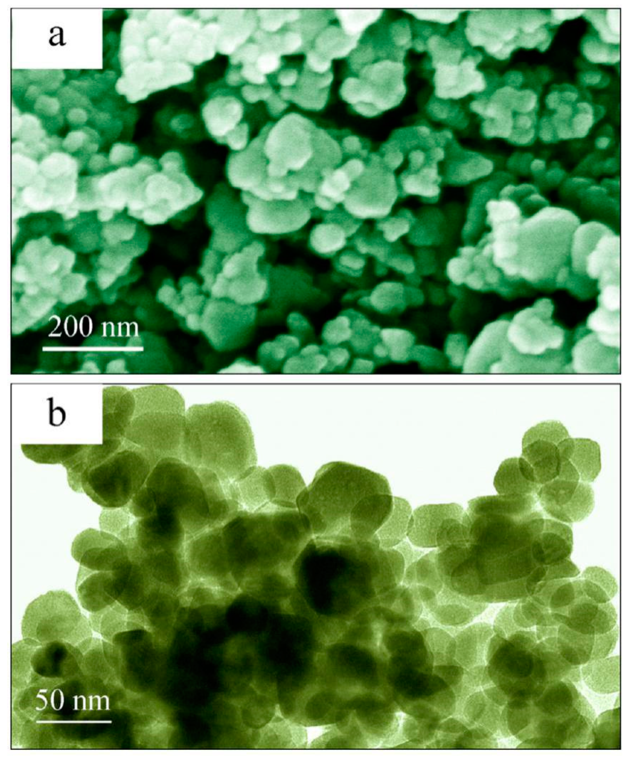 Catalysts 10 01163 g002