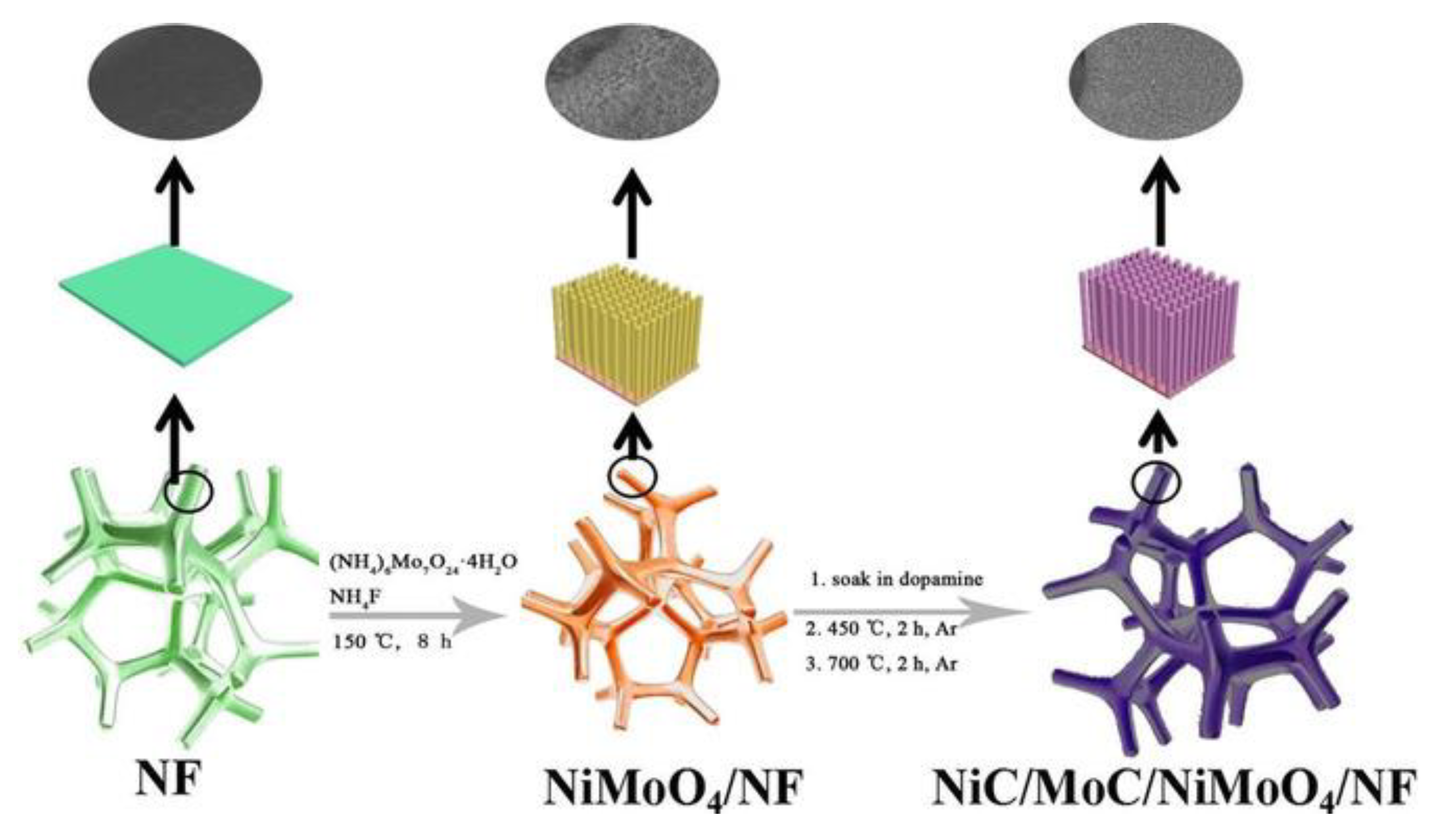 Catalysts 10 01164 g002