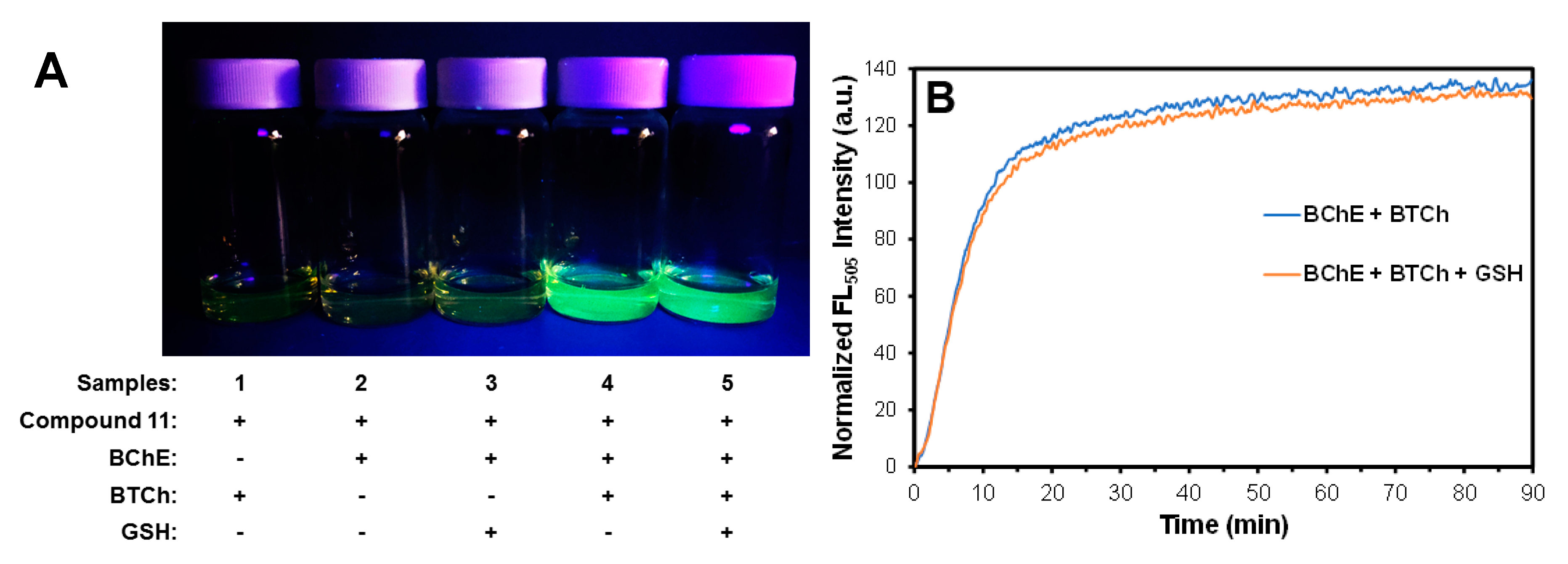 Catalysts 10 01169 g003 Catalysts 10 01169 g003