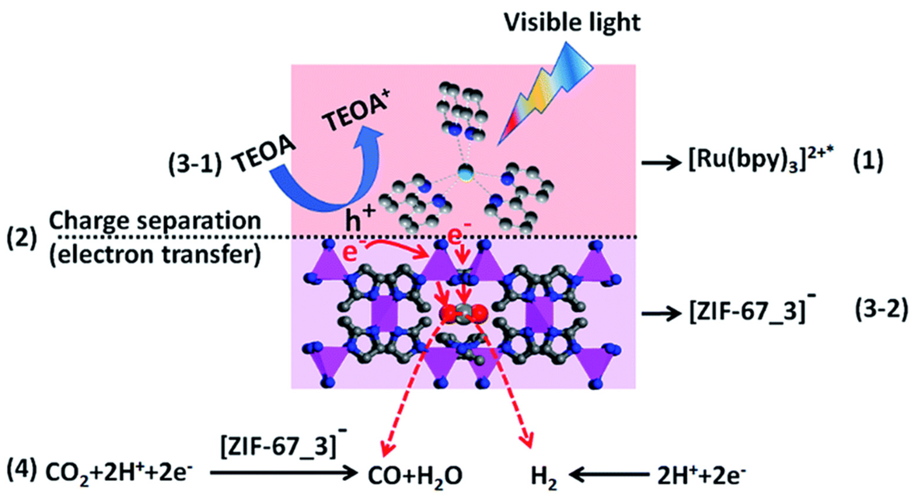 Catalysts 10 01176 g009