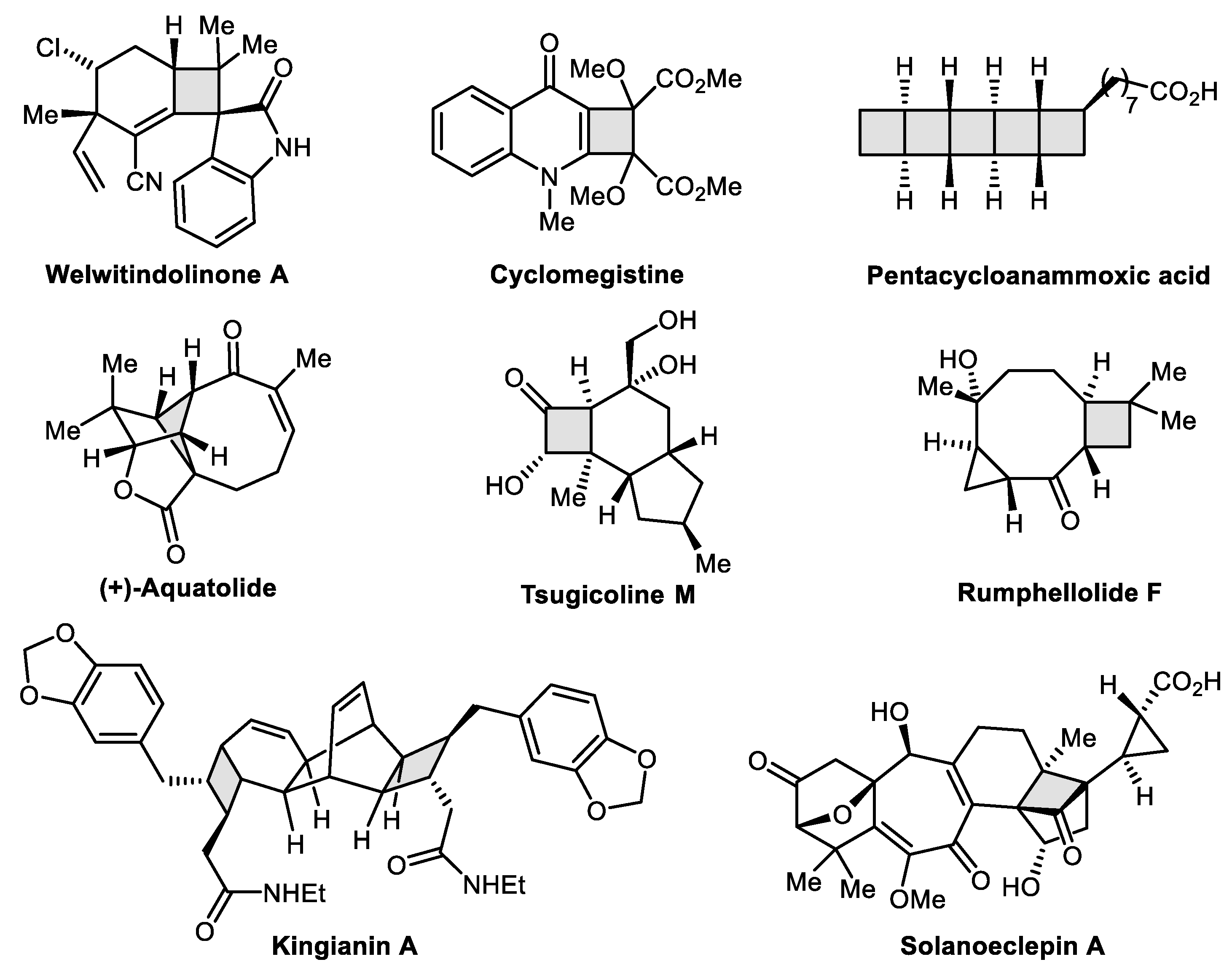 Catalysts 10 01178 g001