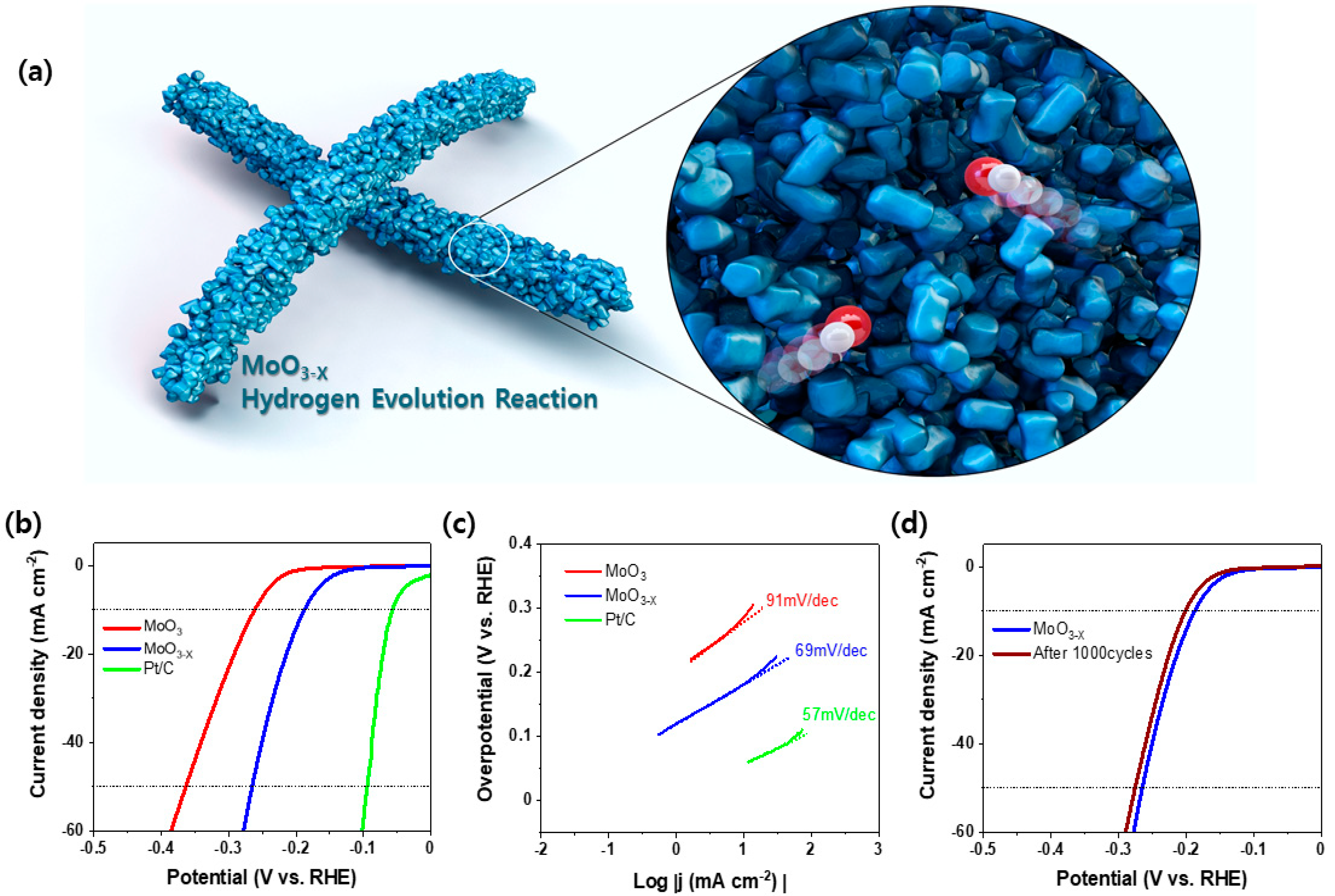 Catalysts 10 01180 g004 Catalysts 10 01180 g004