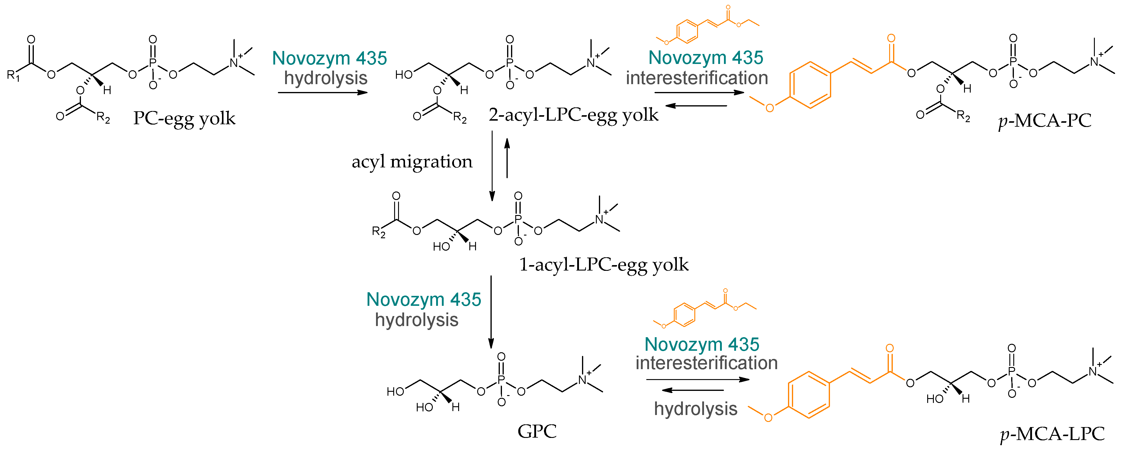 Catalysts 10 01181 g006
