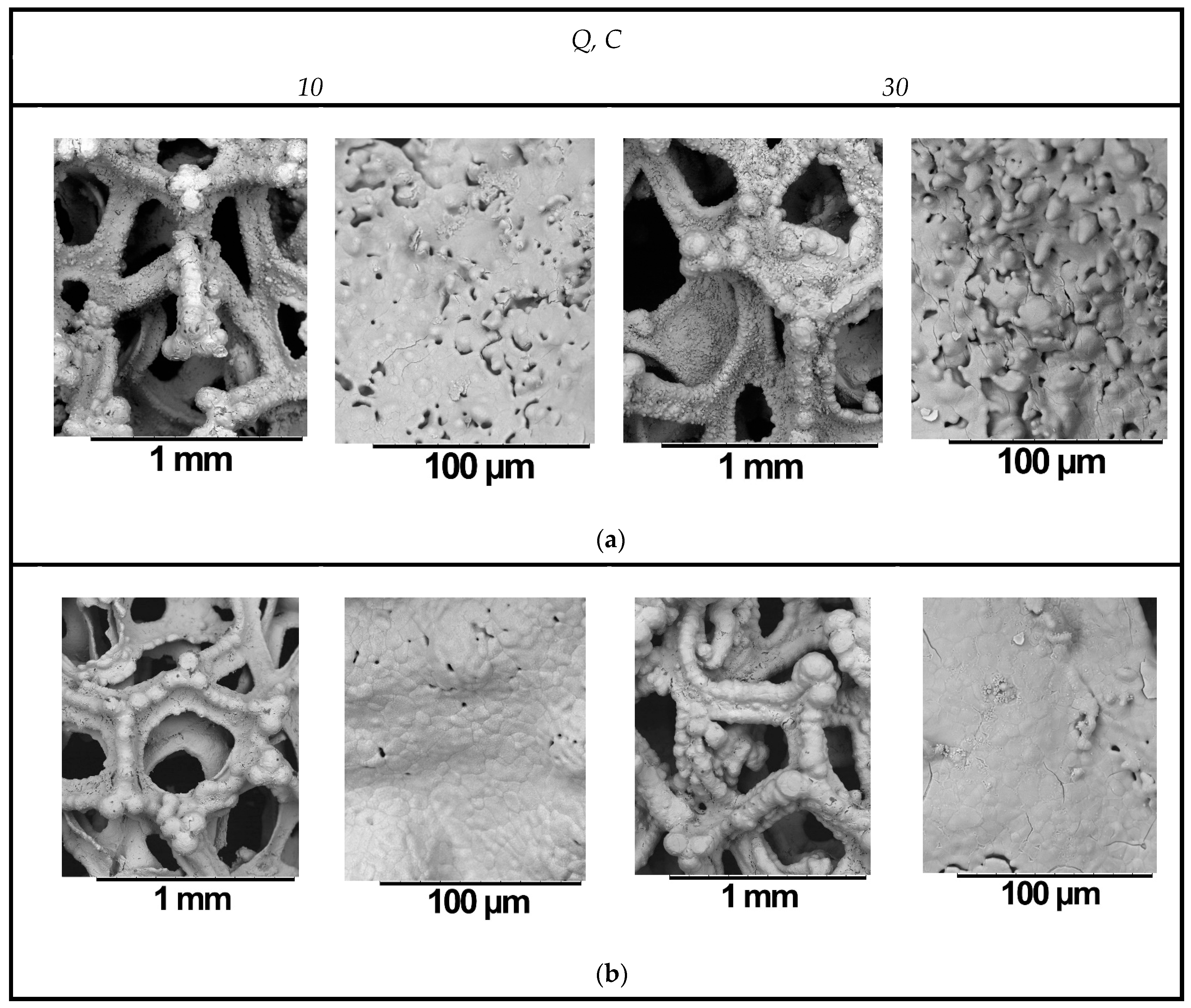 Catalysts 10 01182 g002