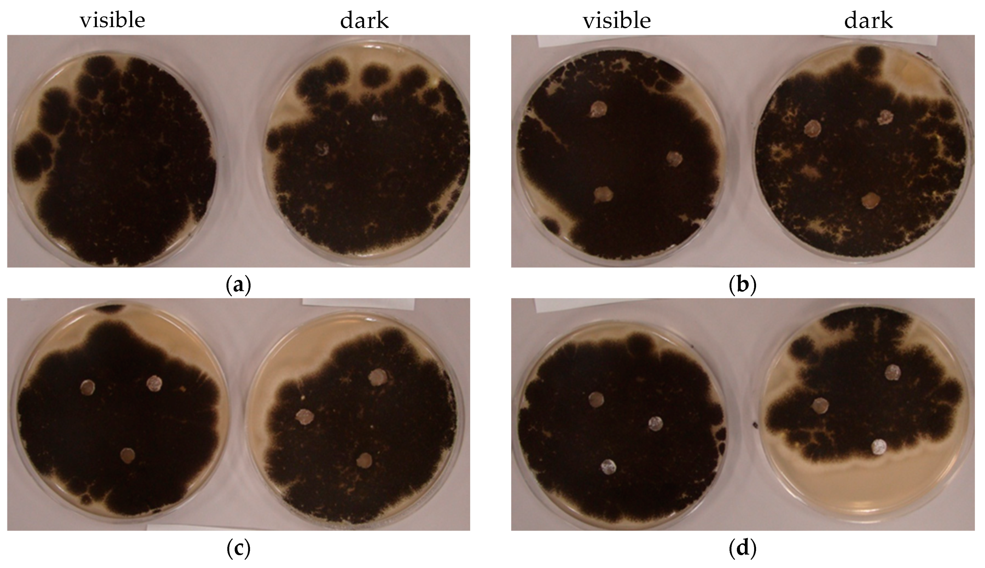 Catalysts 10 01194 g007 Catalysts 10 01194 g007