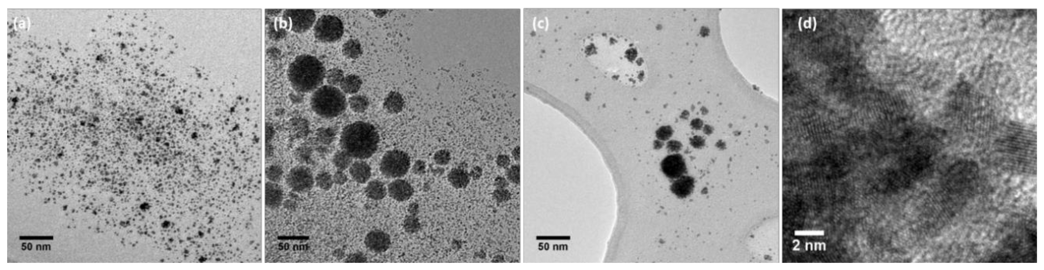Catalysts 10 01195 g002
