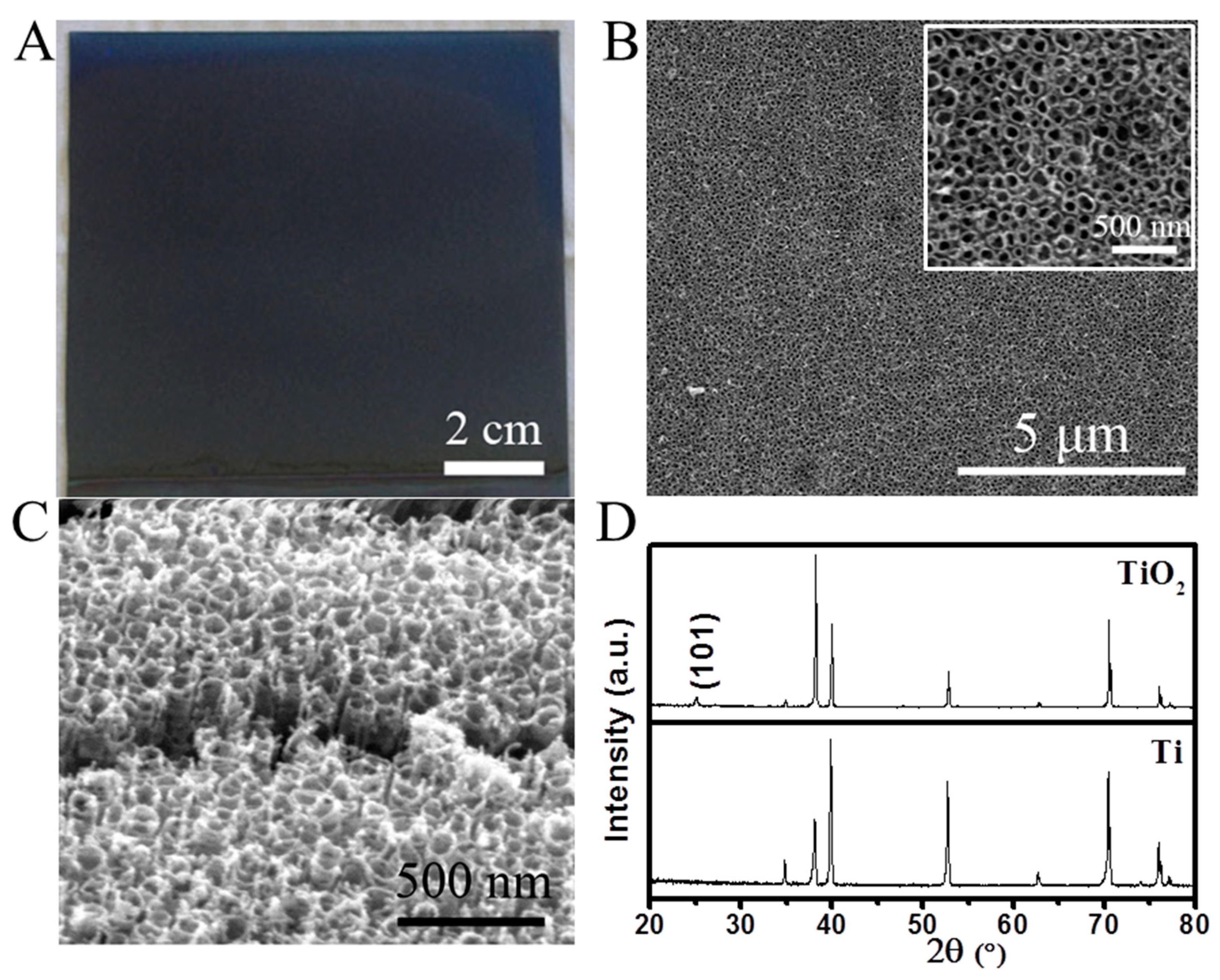 Catalysts 10 01203 g001