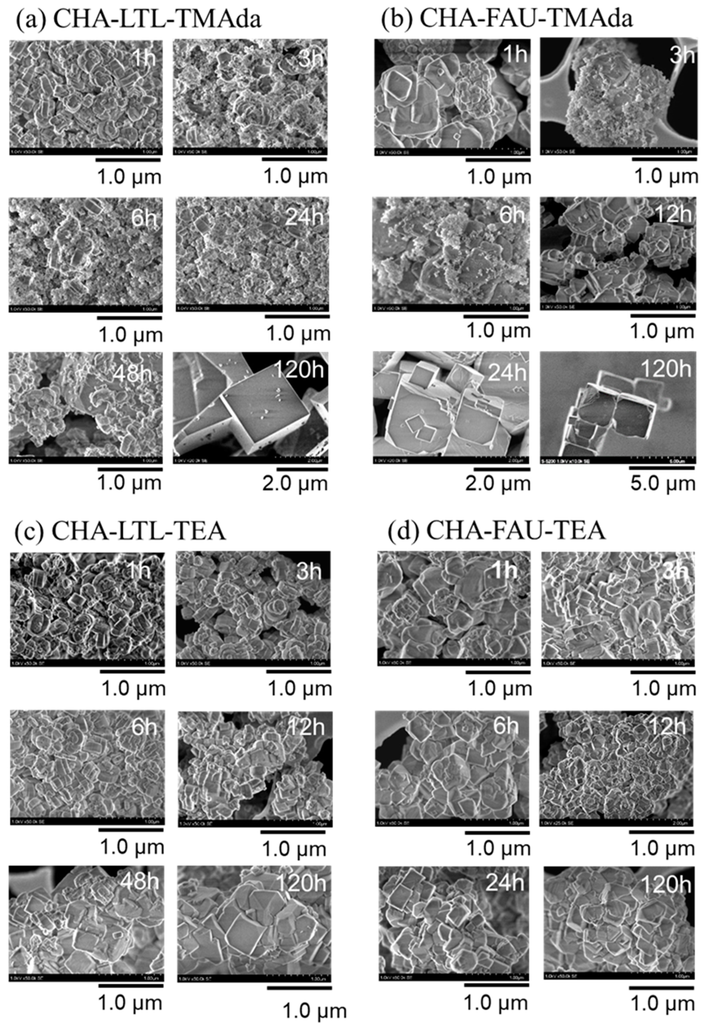 Catalysts 10 01204 g006