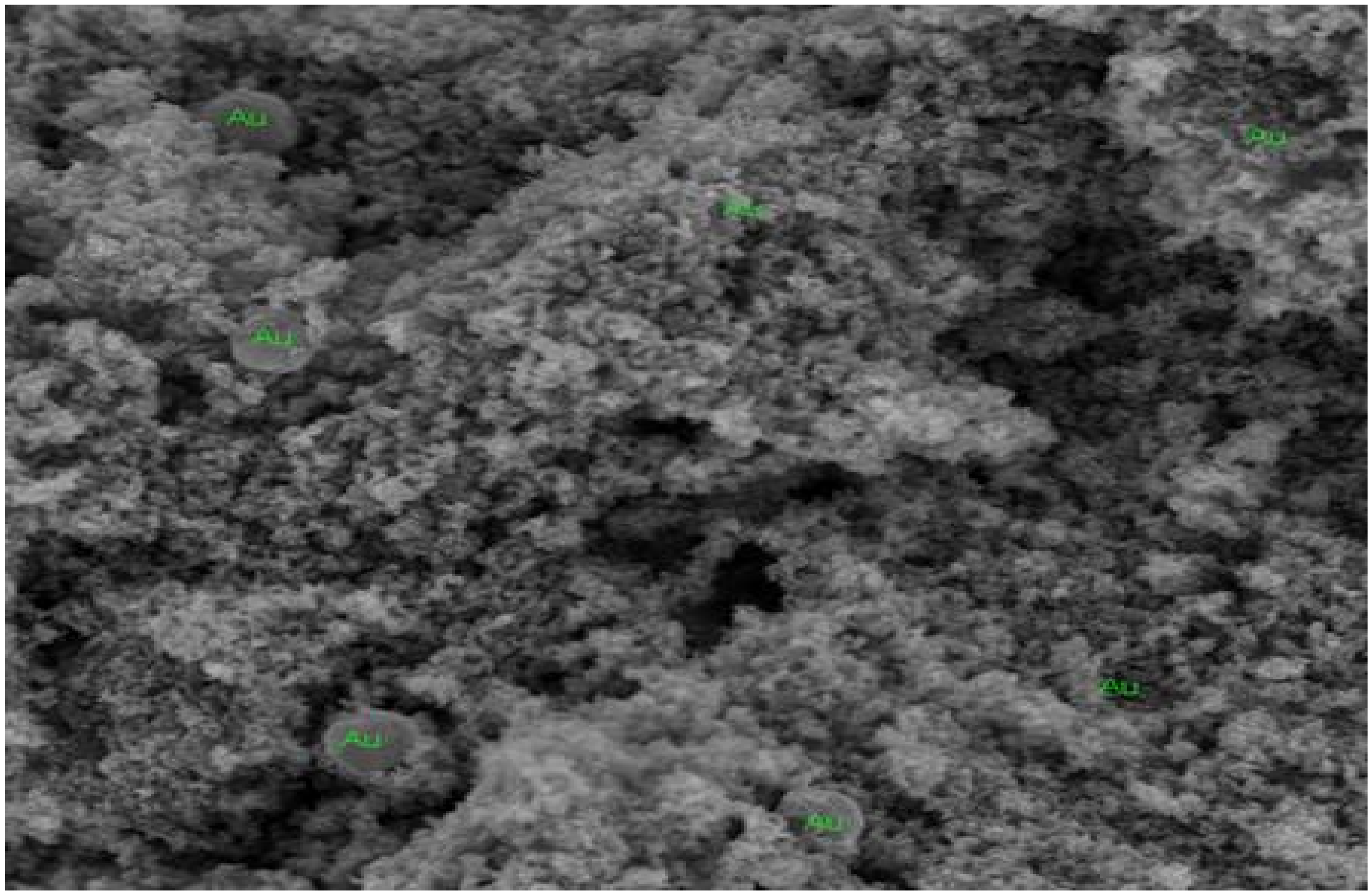 Catalysts 10 01205 g001