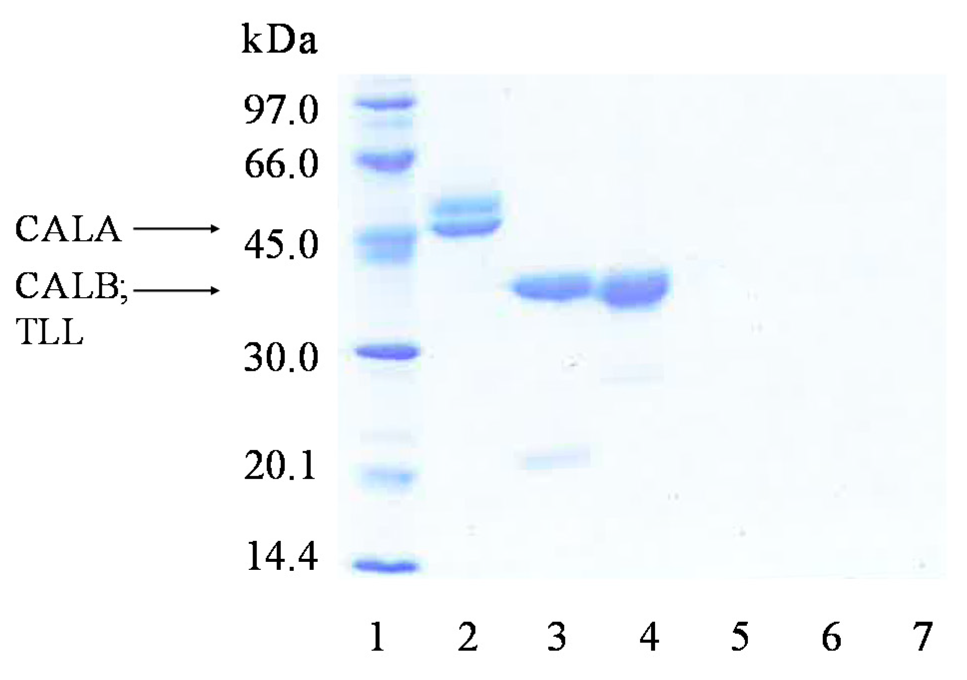 Catalysts 10 01207 g005 Catalysts 10 01207 g005