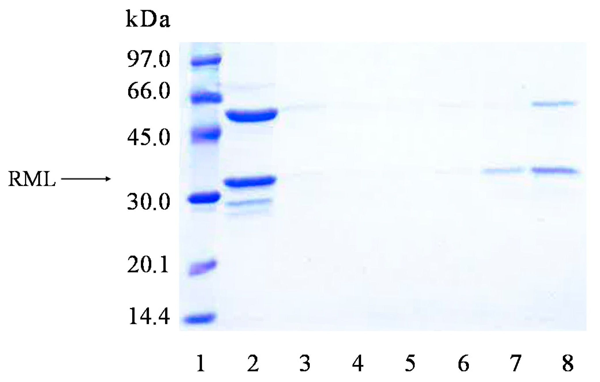 Catalysts 10 01207 g007 Catalysts 10 01207 g007