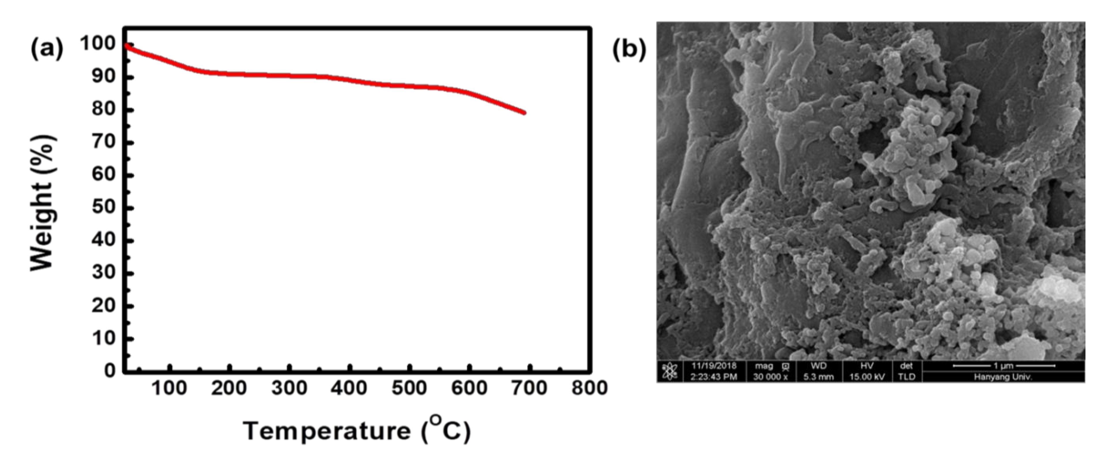 Catalysts 10 01224 g003 Catalysts 10 01224 g003