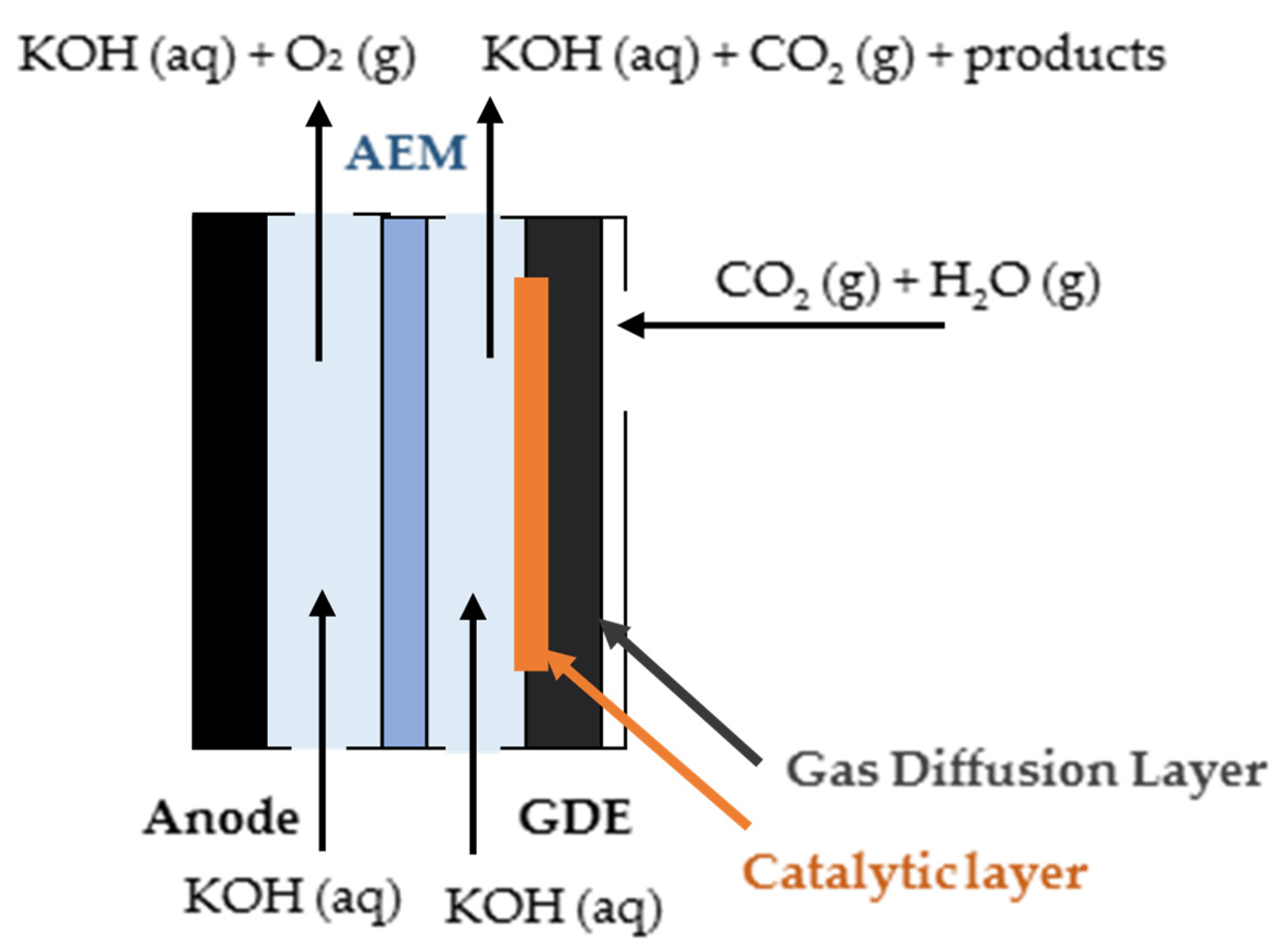 Catalysts 10 01226 g004 Catalysts 10 01226 g004