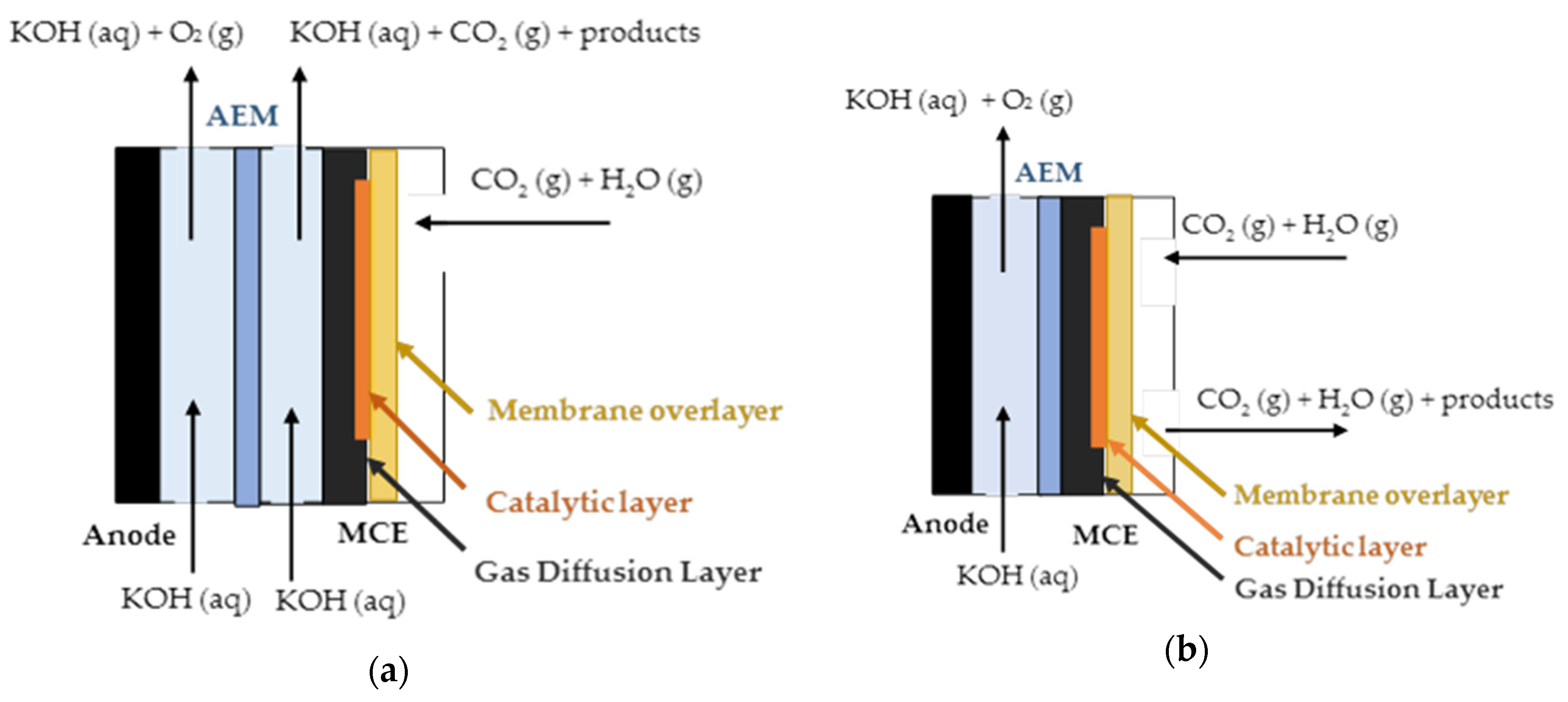 Catalysts 10 01226 g007 Catalysts 10 01226 g007