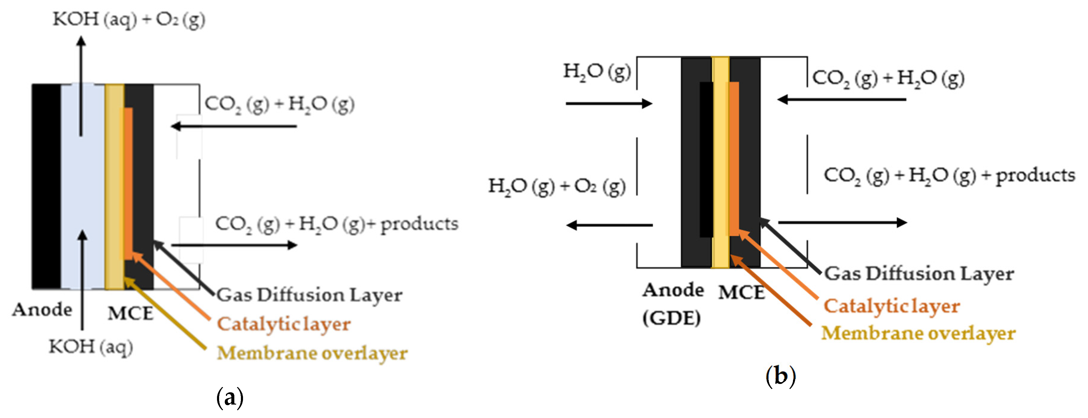 Catalysts 10 01226 g008 Catalysts 10 01226 g008