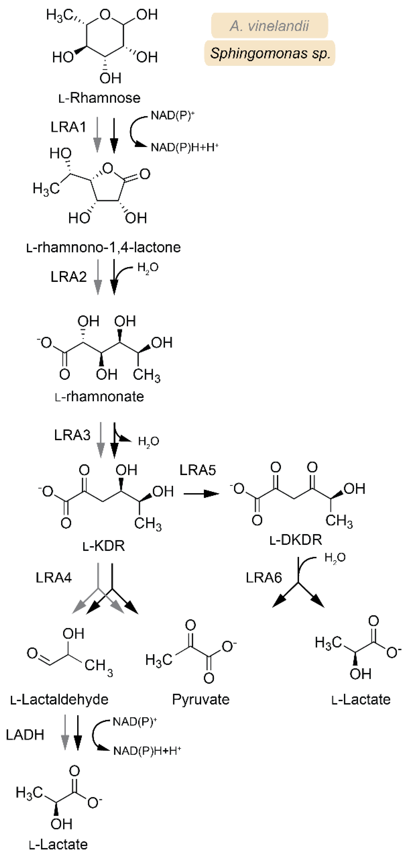 Catalysts 10 01231 g003 Catalysts 10 01231 g003