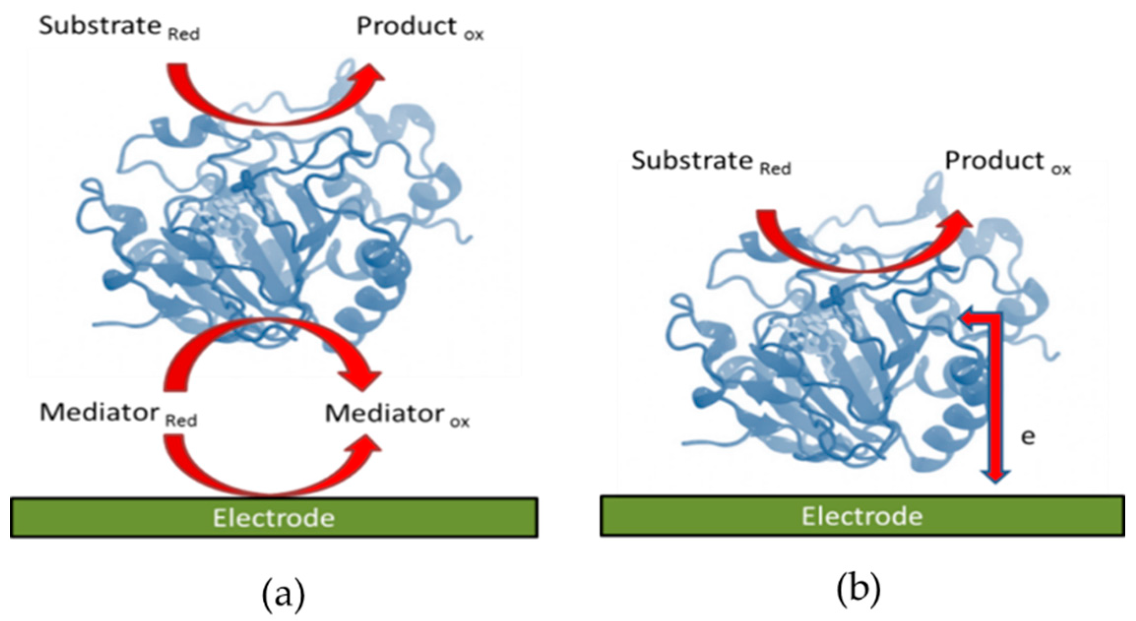 Catalysts Free Full Text Enzymatic Bioreactors An Electrochemical Perspective