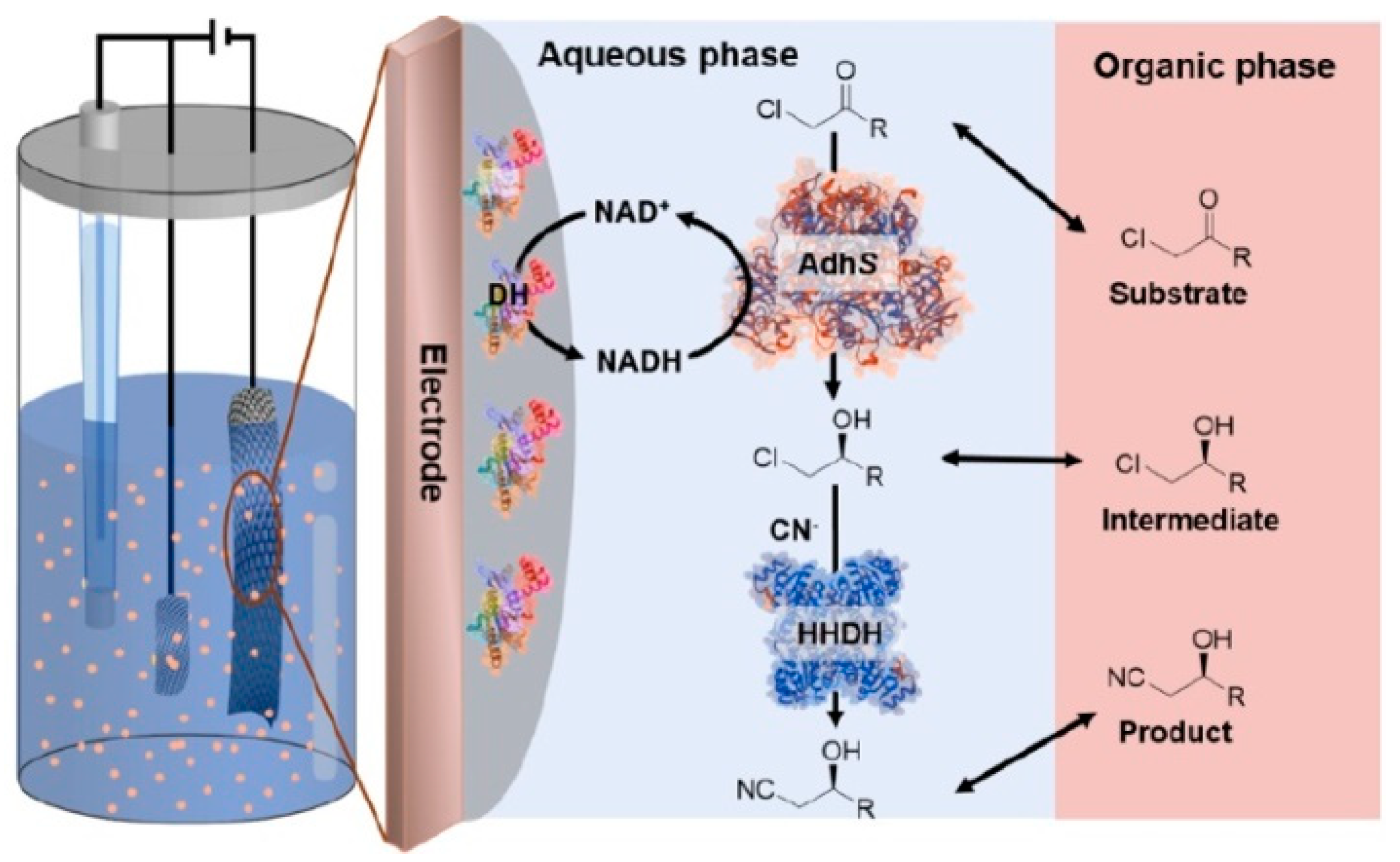 Catalysts 10 01232 g012 Catalysts 10 01232 g012