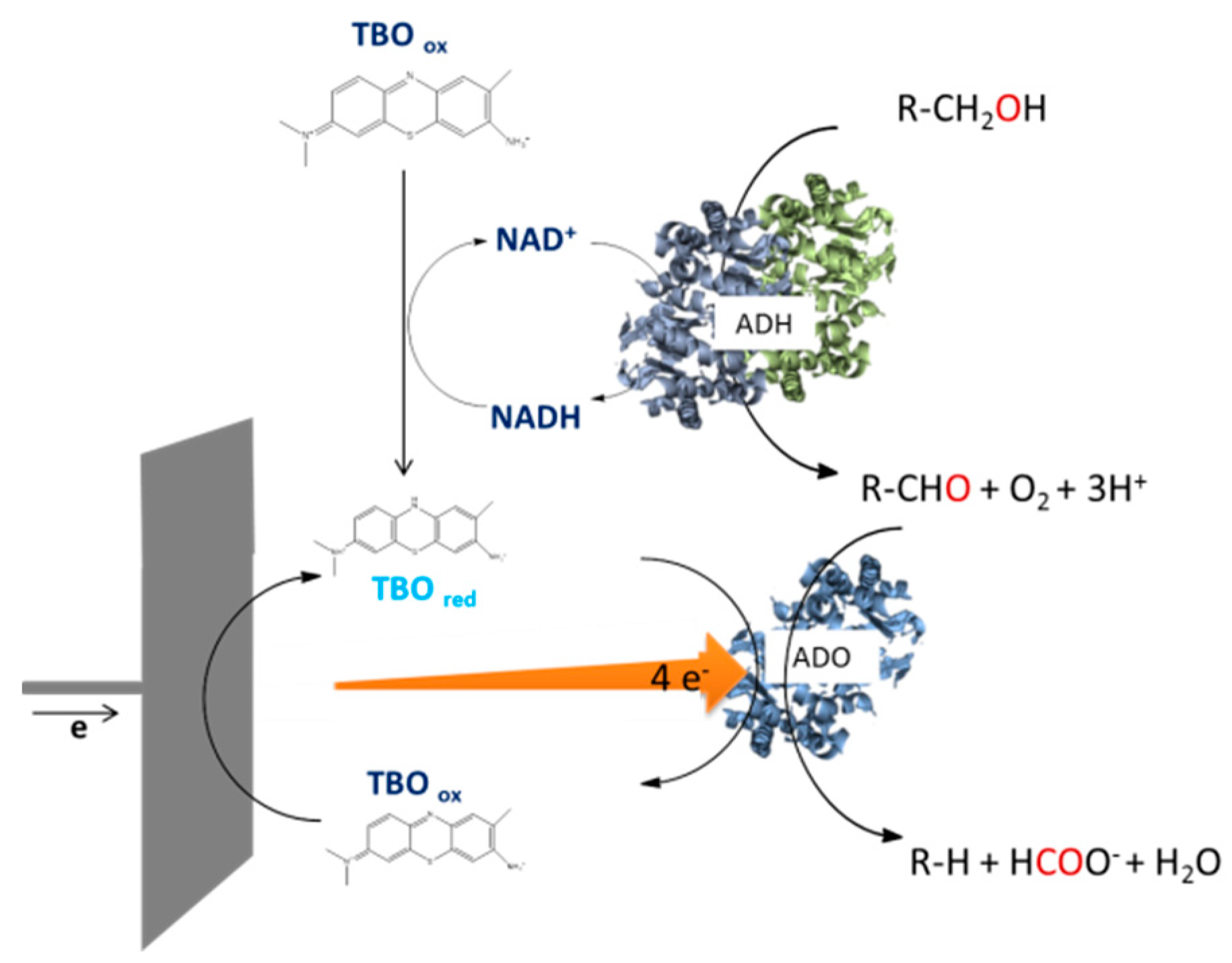 Catalysts 10 01232 g013 Catalysts 10 01232 g013