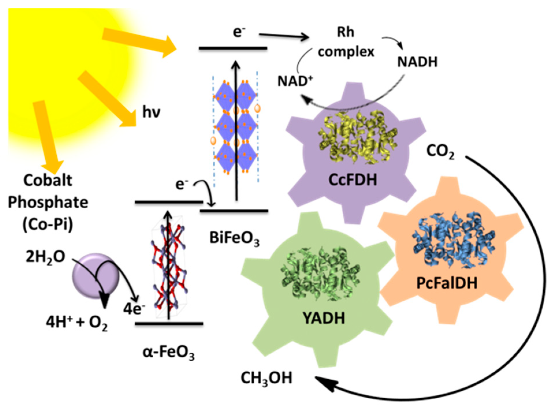 Catalysts 10 01232 g014 Catalysts 10 01232 g014