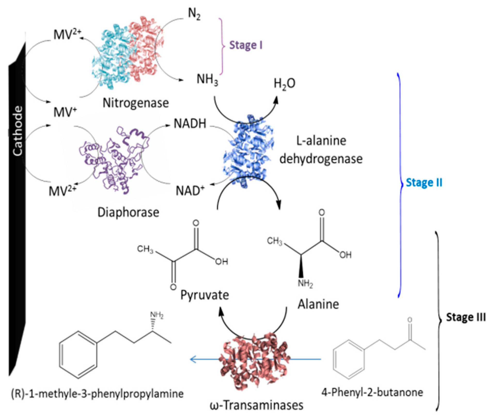 Catalysts 10 01232 g015 Catalysts 10 01232 g015