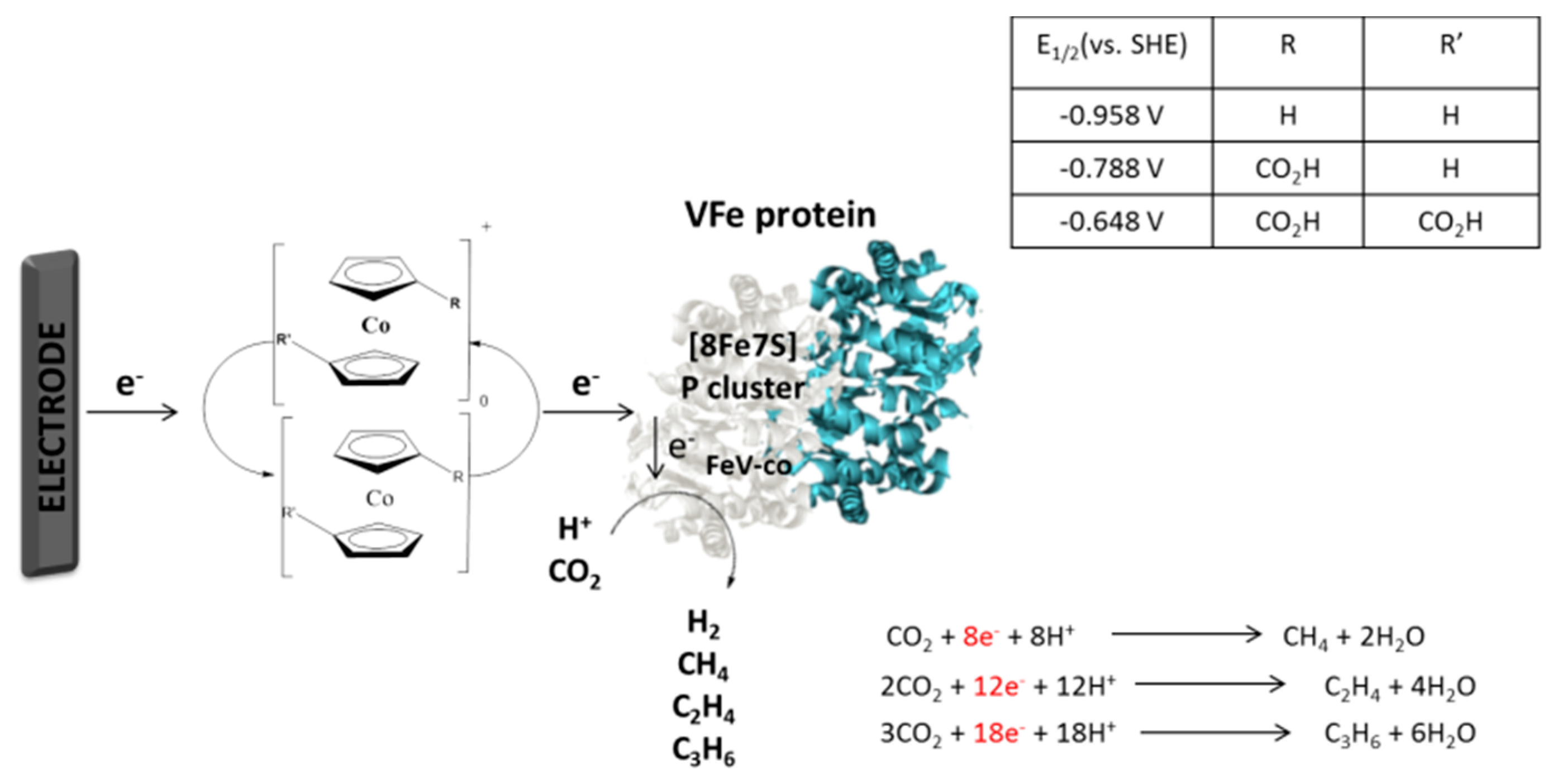 Catalysts 10 01232 g016 Catalysts 10 01232 g016