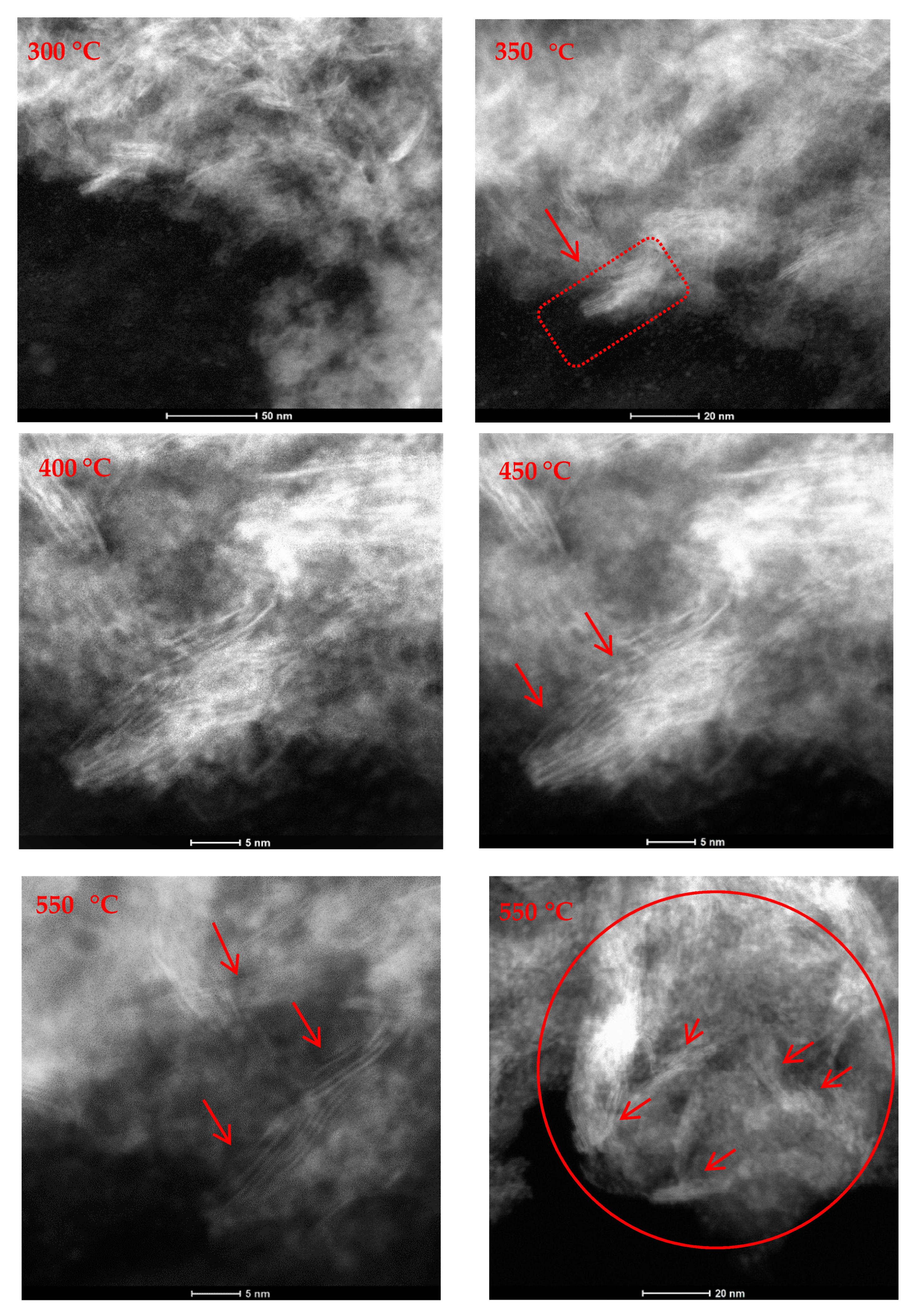Catalysts 10 01239 g002