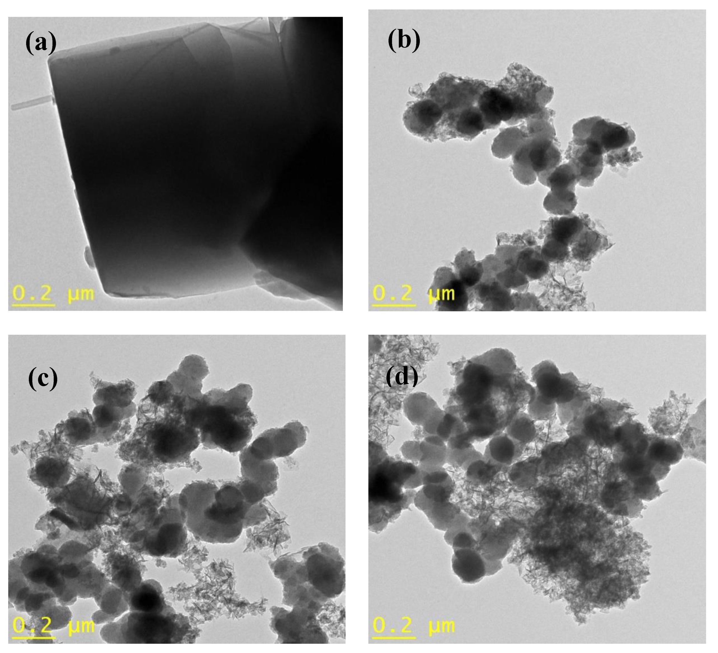 Catalysts 10 01241 g005a Catalysts 10 01241 g005a