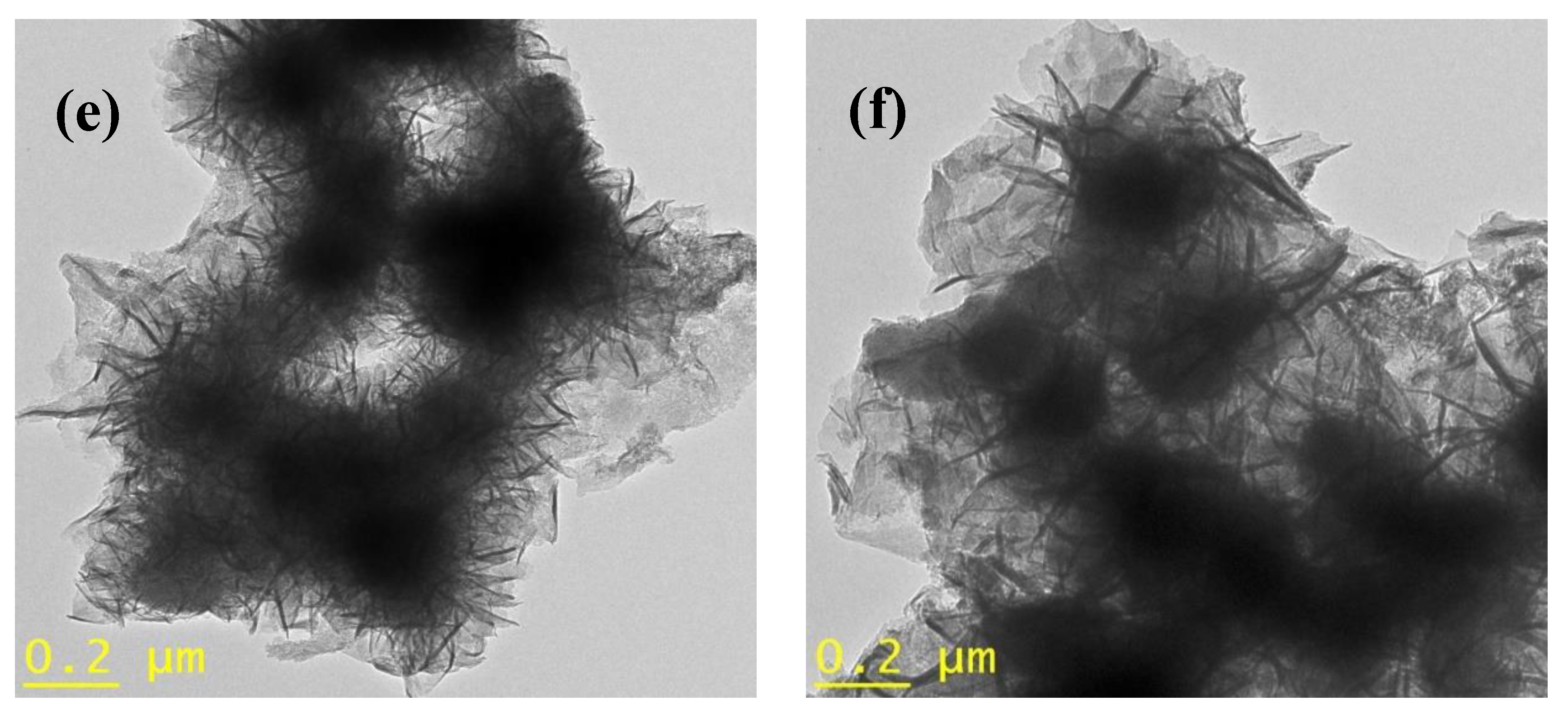 Catalysts 10 01241 g005b Catalysts 10 01241 g005b