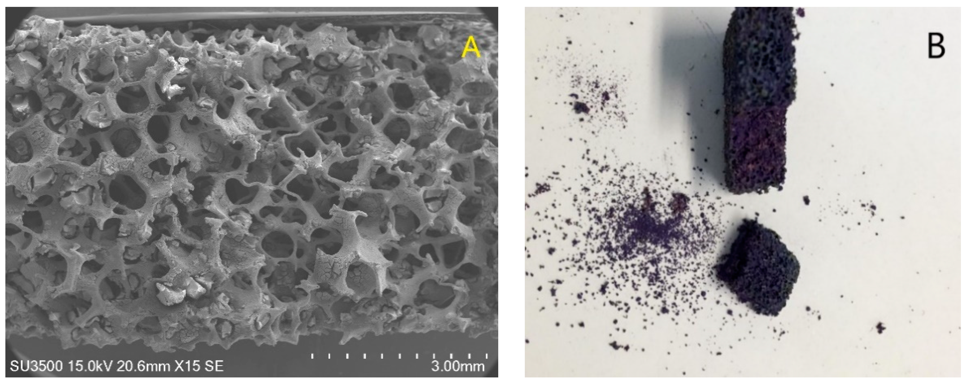 Catalysts 10 01245 g002 Catalysts 10 01245 g002