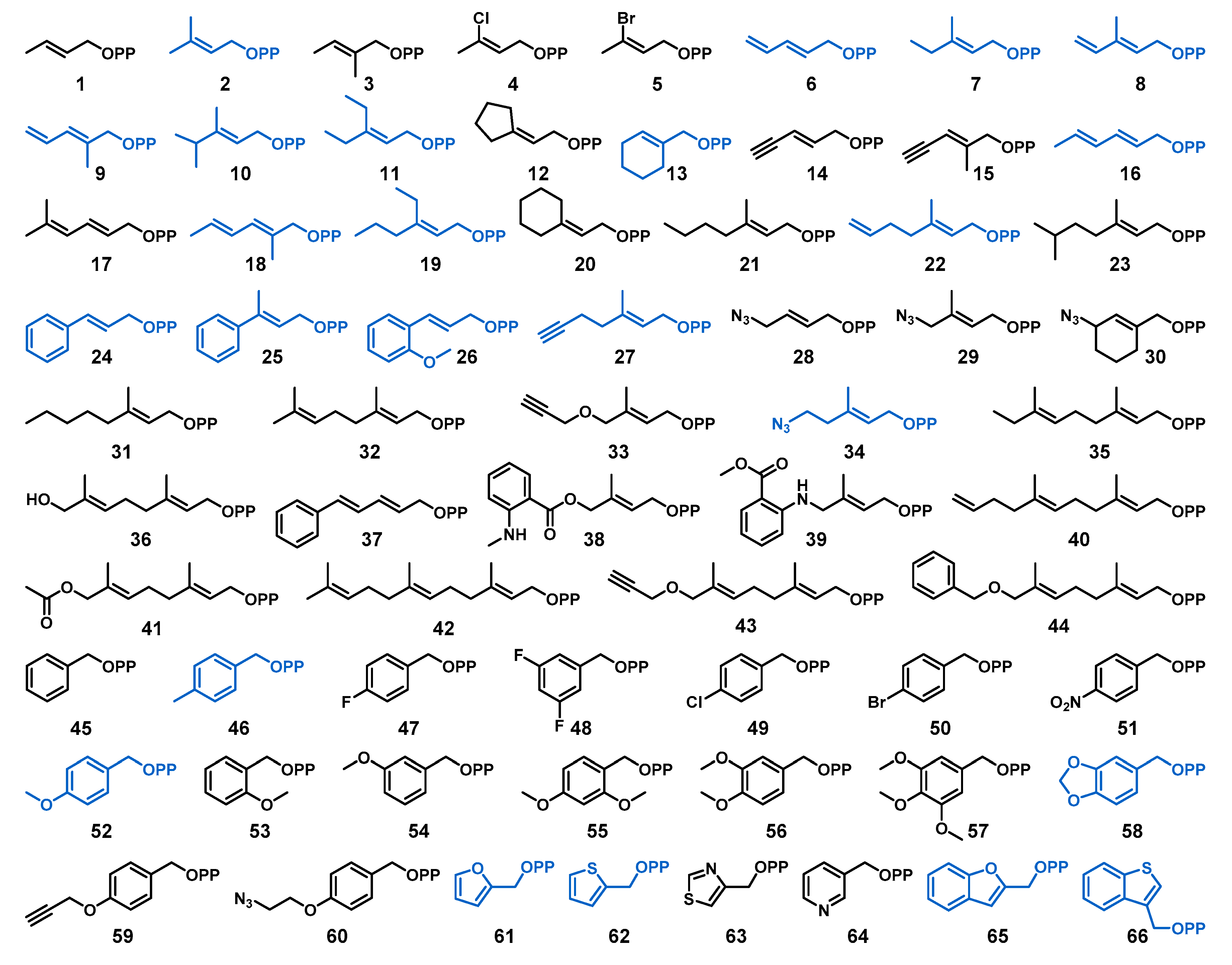 Catalysts 10 01247 g002