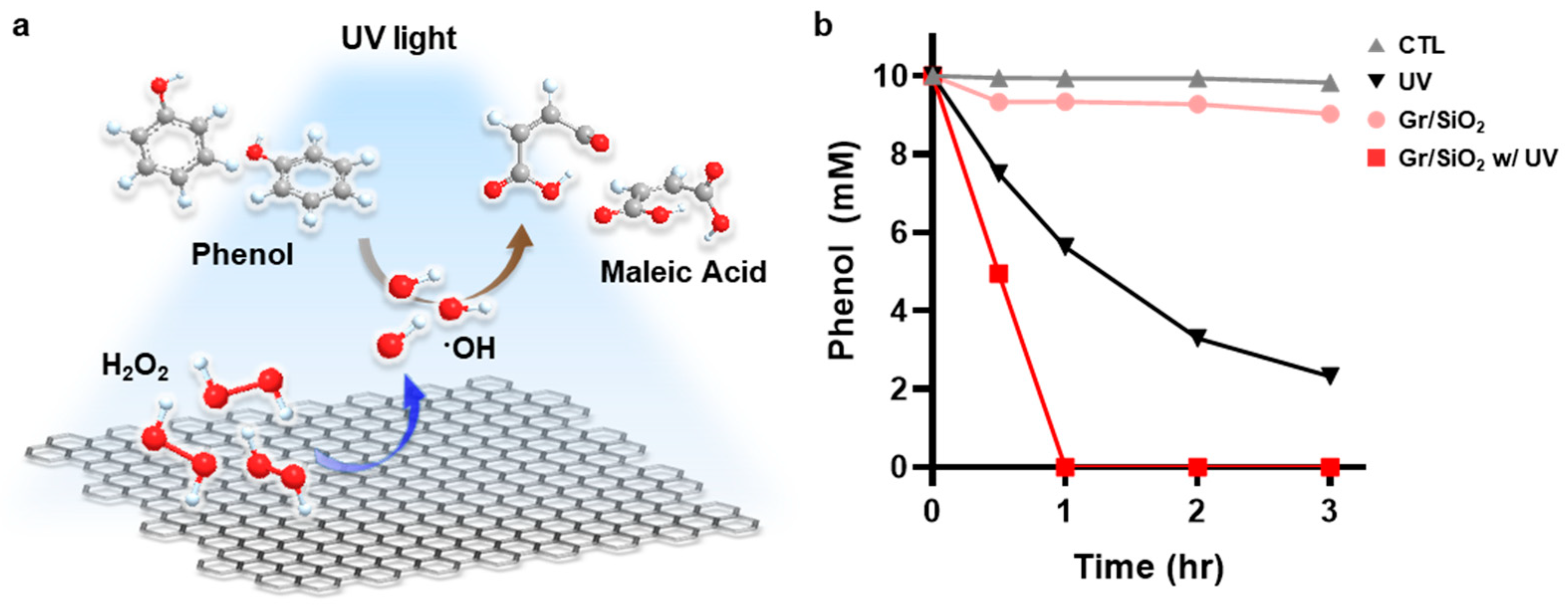 Catalysts 10 01251 g002 Catalysts 10 01251 g002