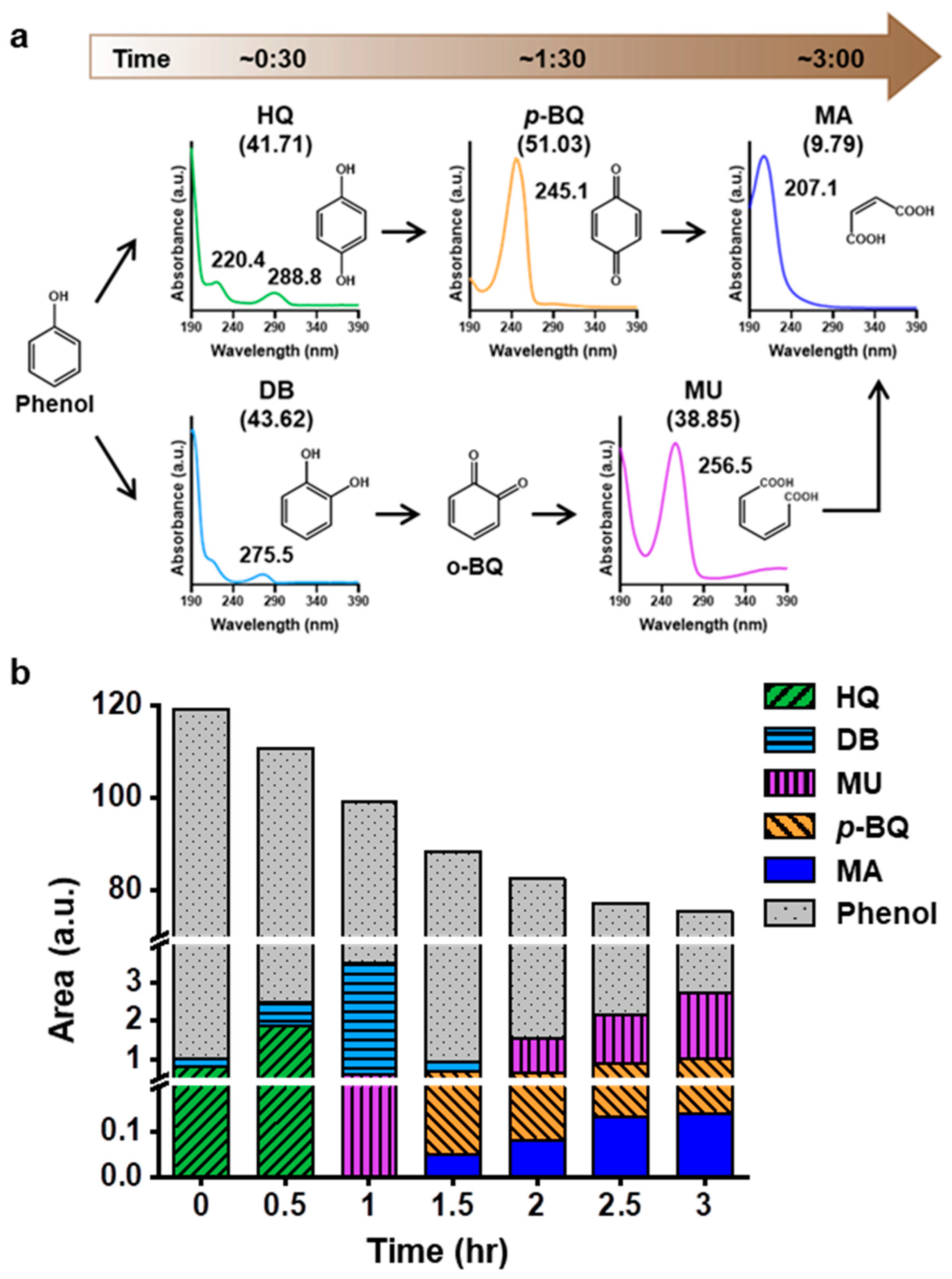 Catalysts 10 01251 g004 Catalysts 10 01251 g004